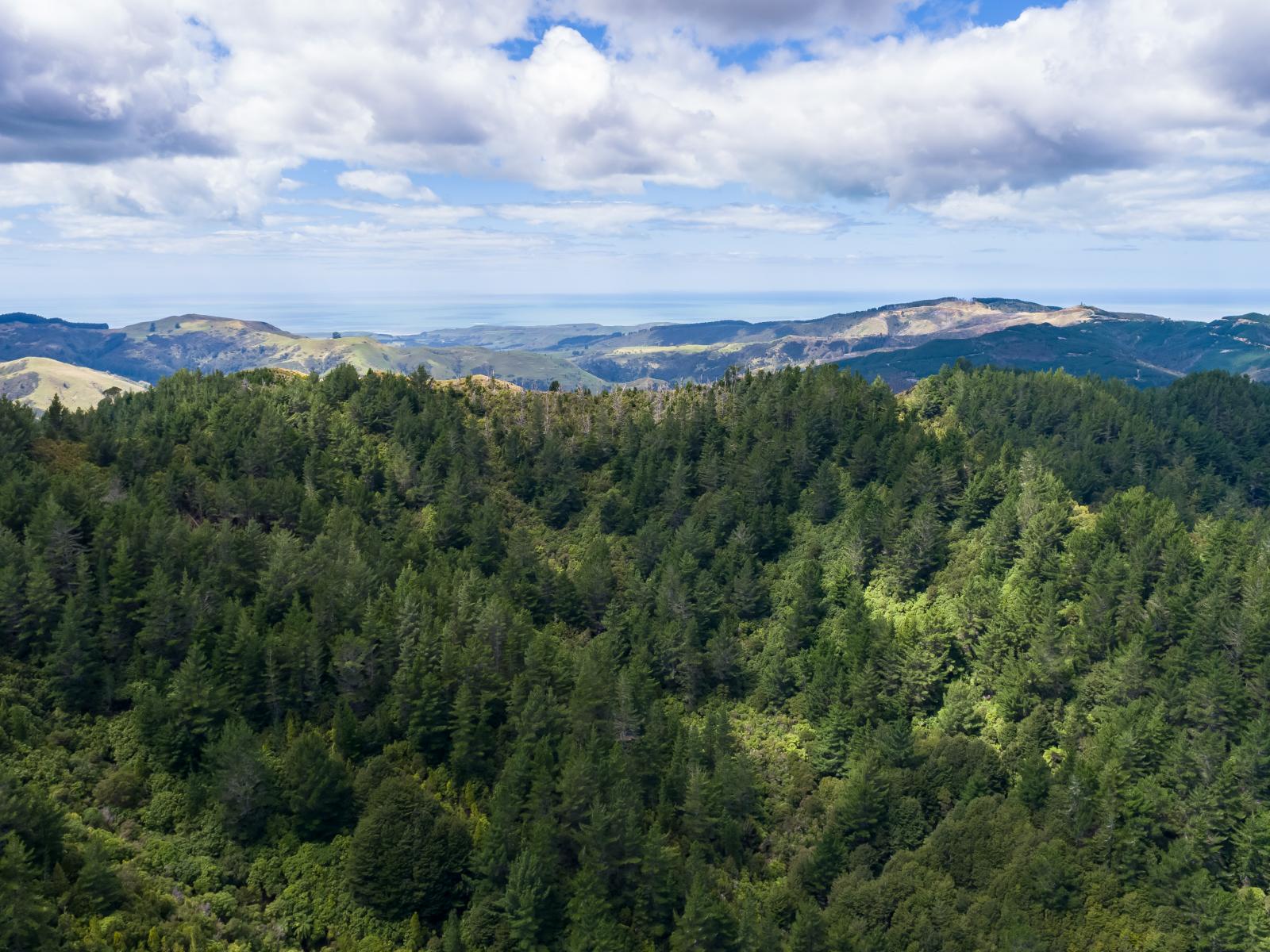 939 Kaiwhata Road, Te Wharau