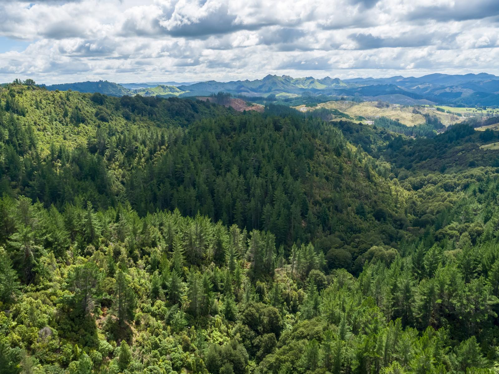 939 Kaiwhata Road, Te Wharau