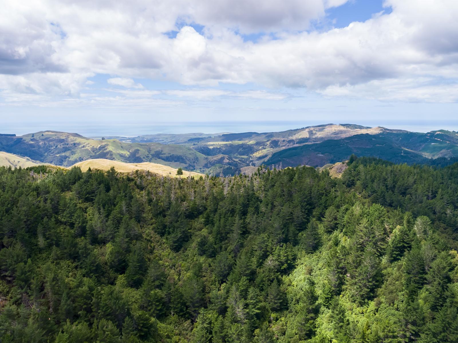 939 Kaiwhata Road, Te Wharau