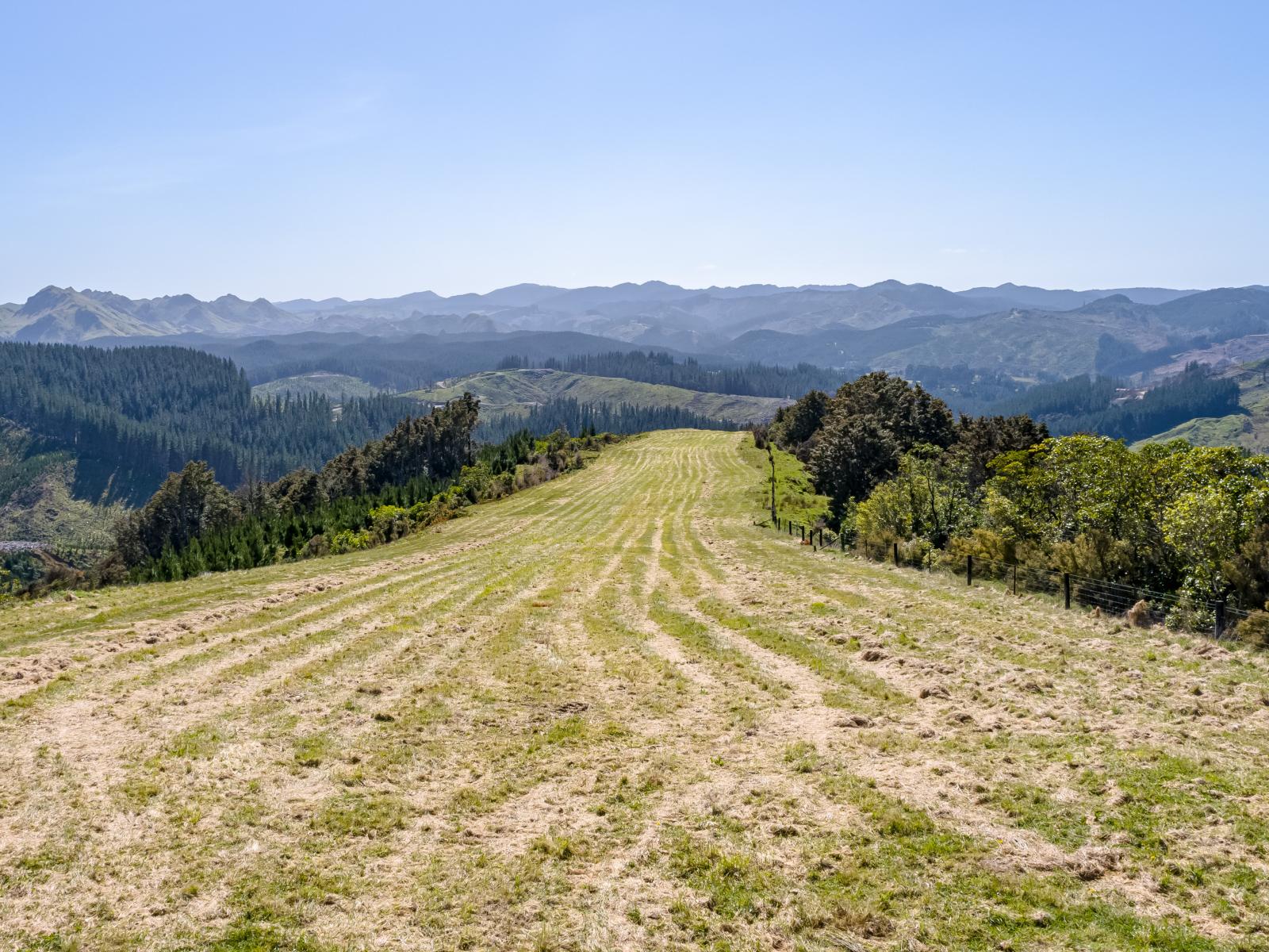 939 Kaiwhata Road, Te Wharau