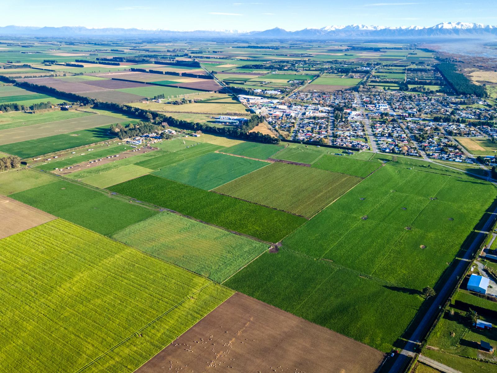 Lot 3 Acton Road, Rakaia