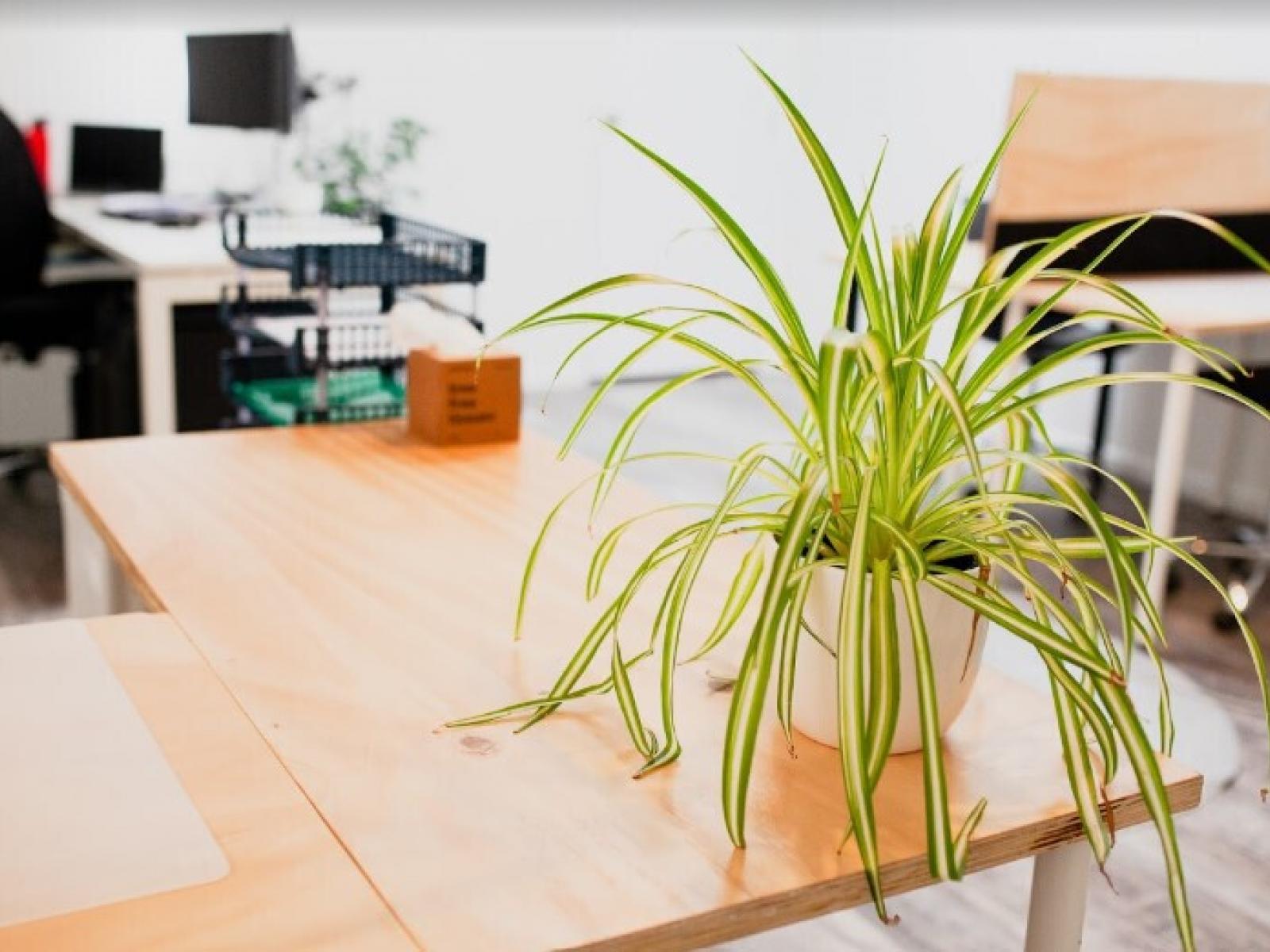 32 Victoria Street, Cambridge