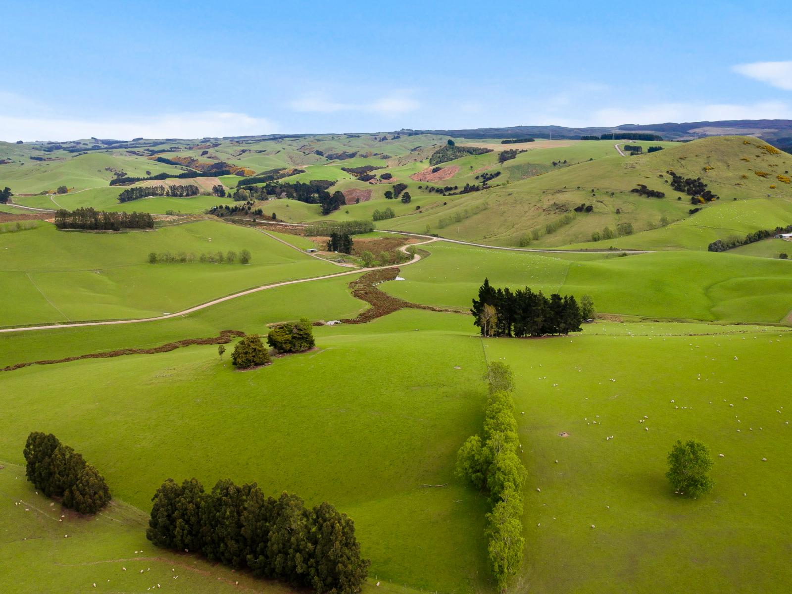 Berwick Road, Clarendon