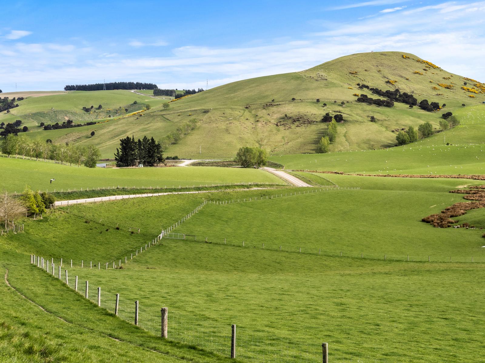 Berwick Road, Clarendon