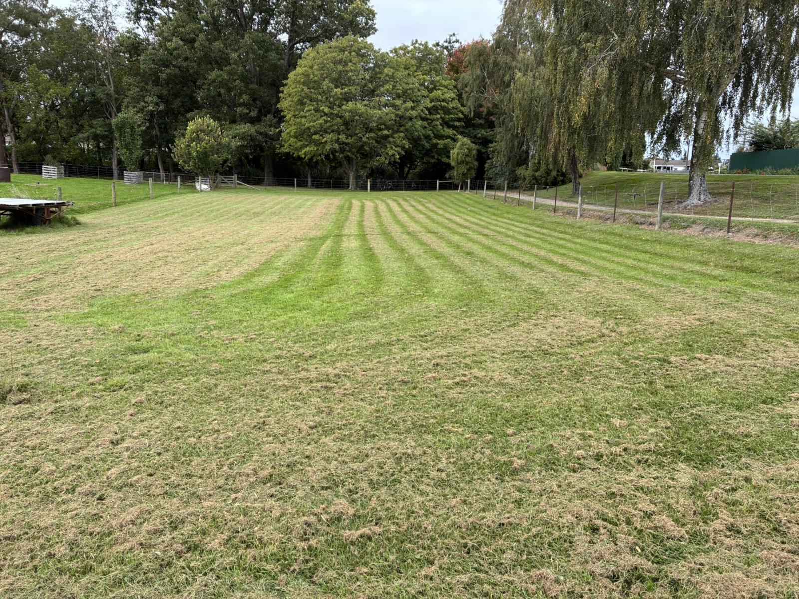 50 Hornbrook Street, Temuka