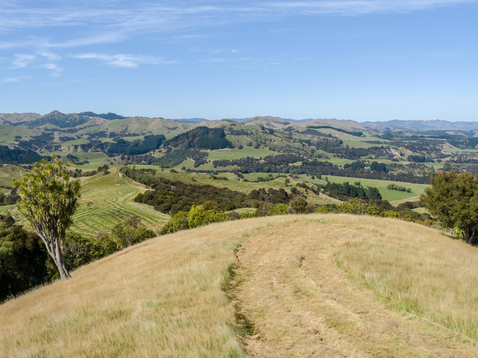 57 Admiral Station Road, Gladstone