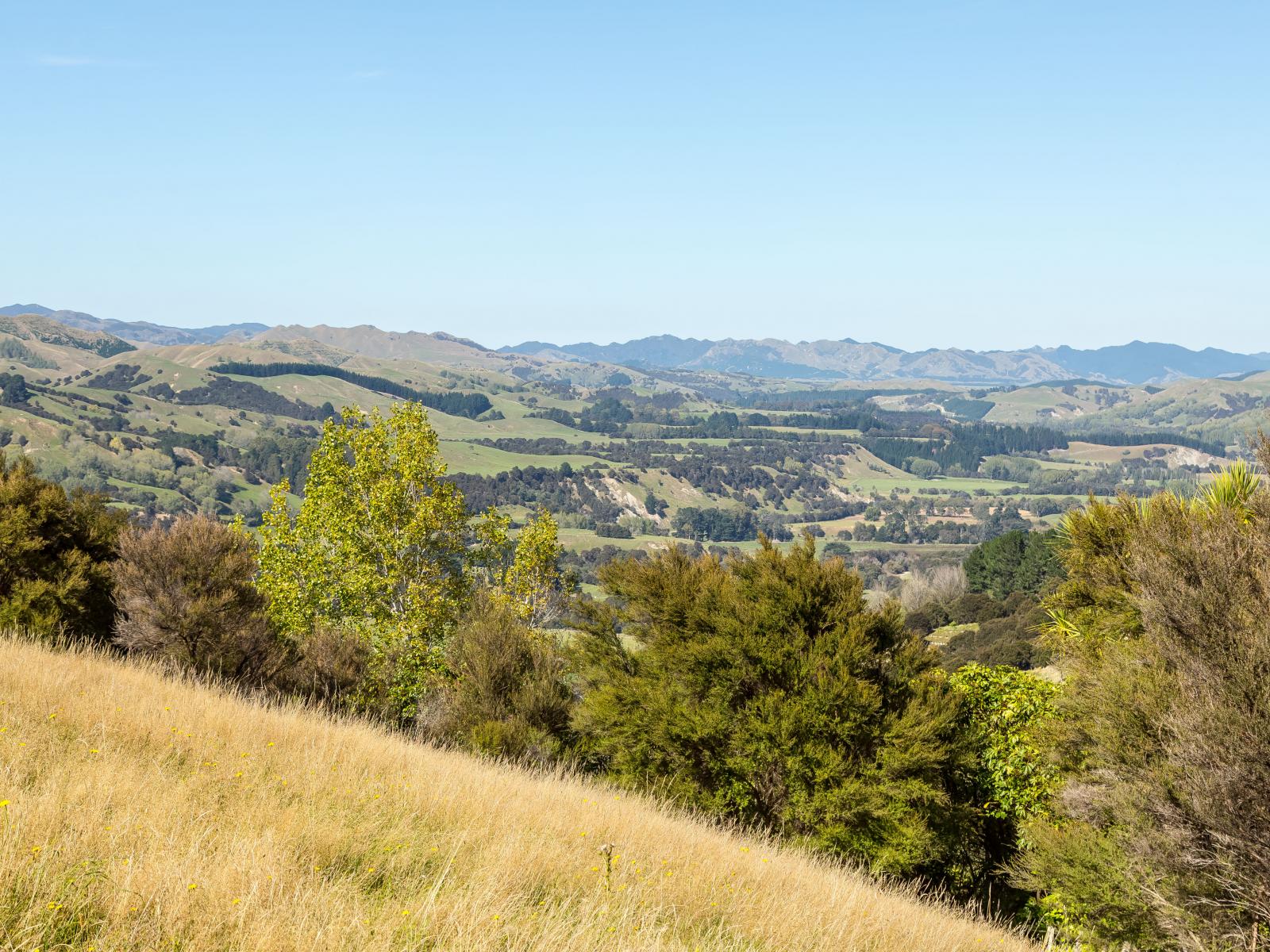 57 Admiral Station Road, Gladstone