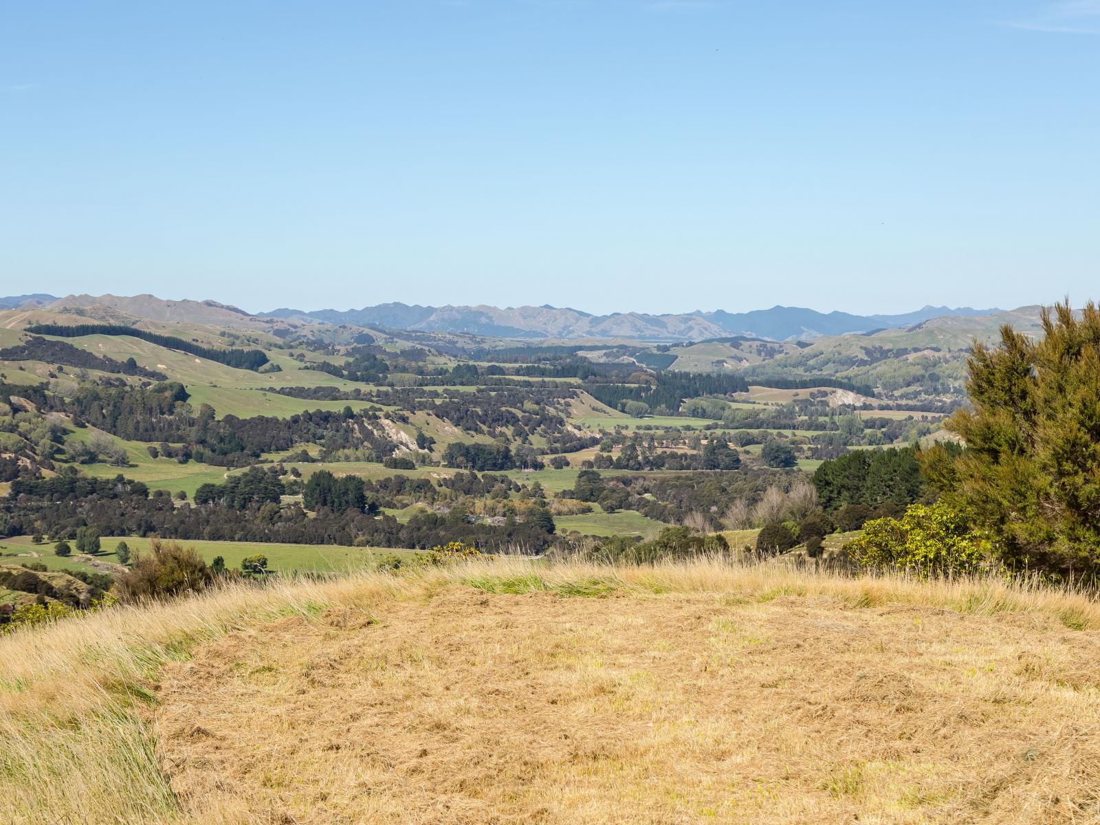 57 Admiral Station Road, Gladstone