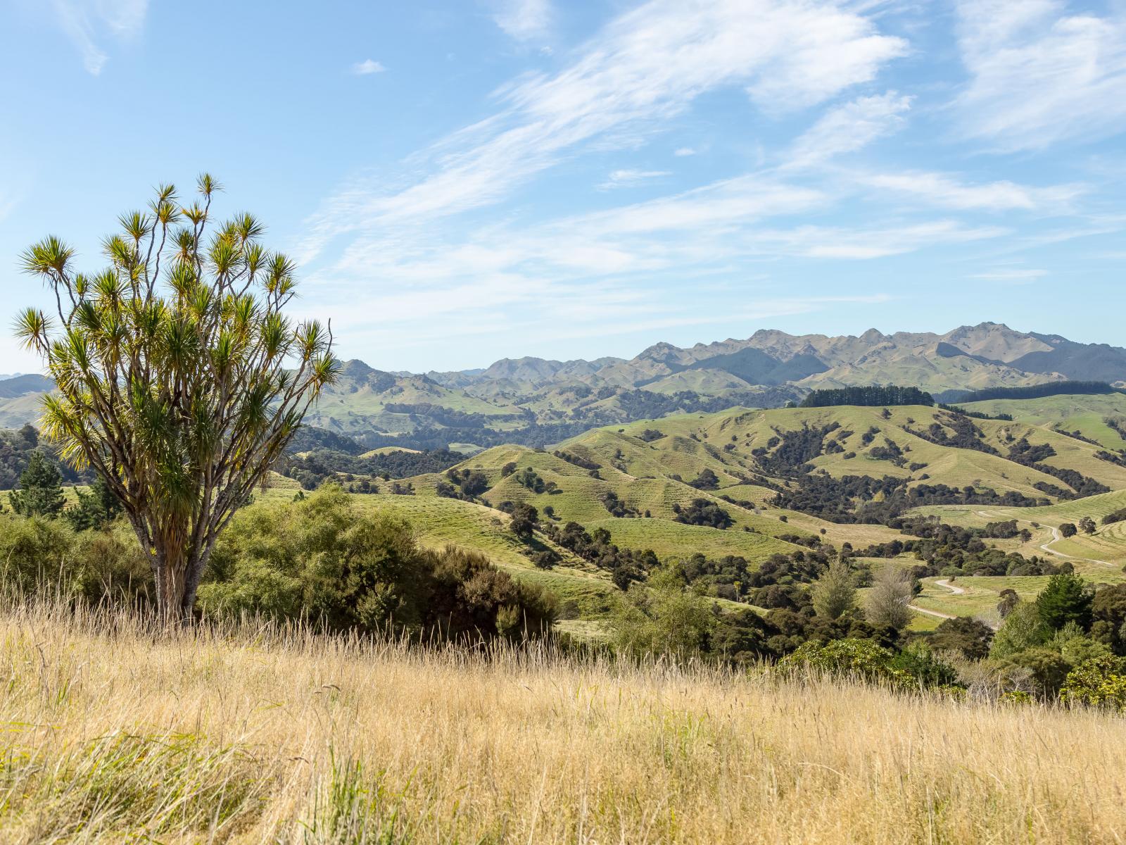 57 Admiral Station Road, Gladstone