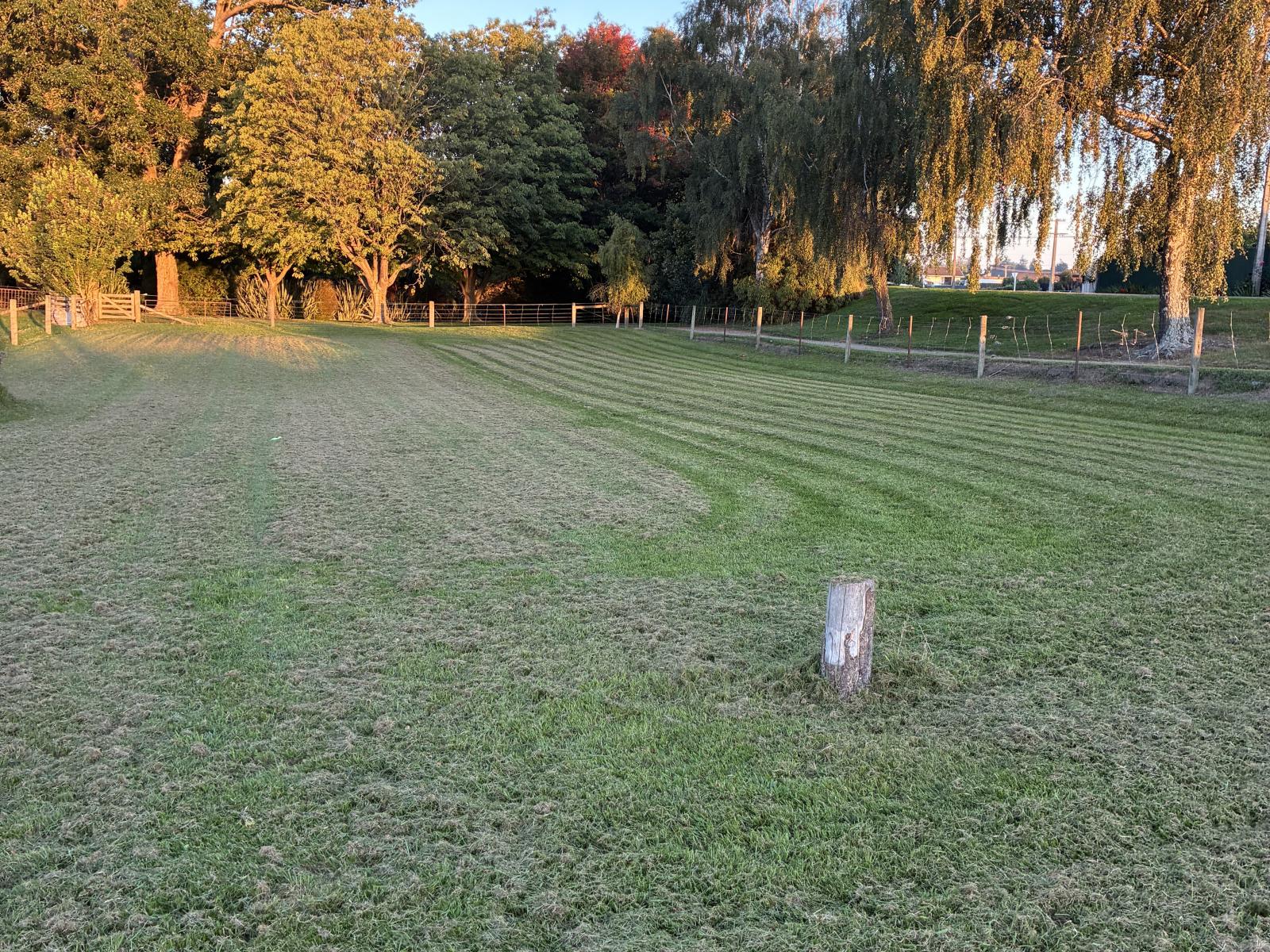 50 Hornbrook Street, Temuka