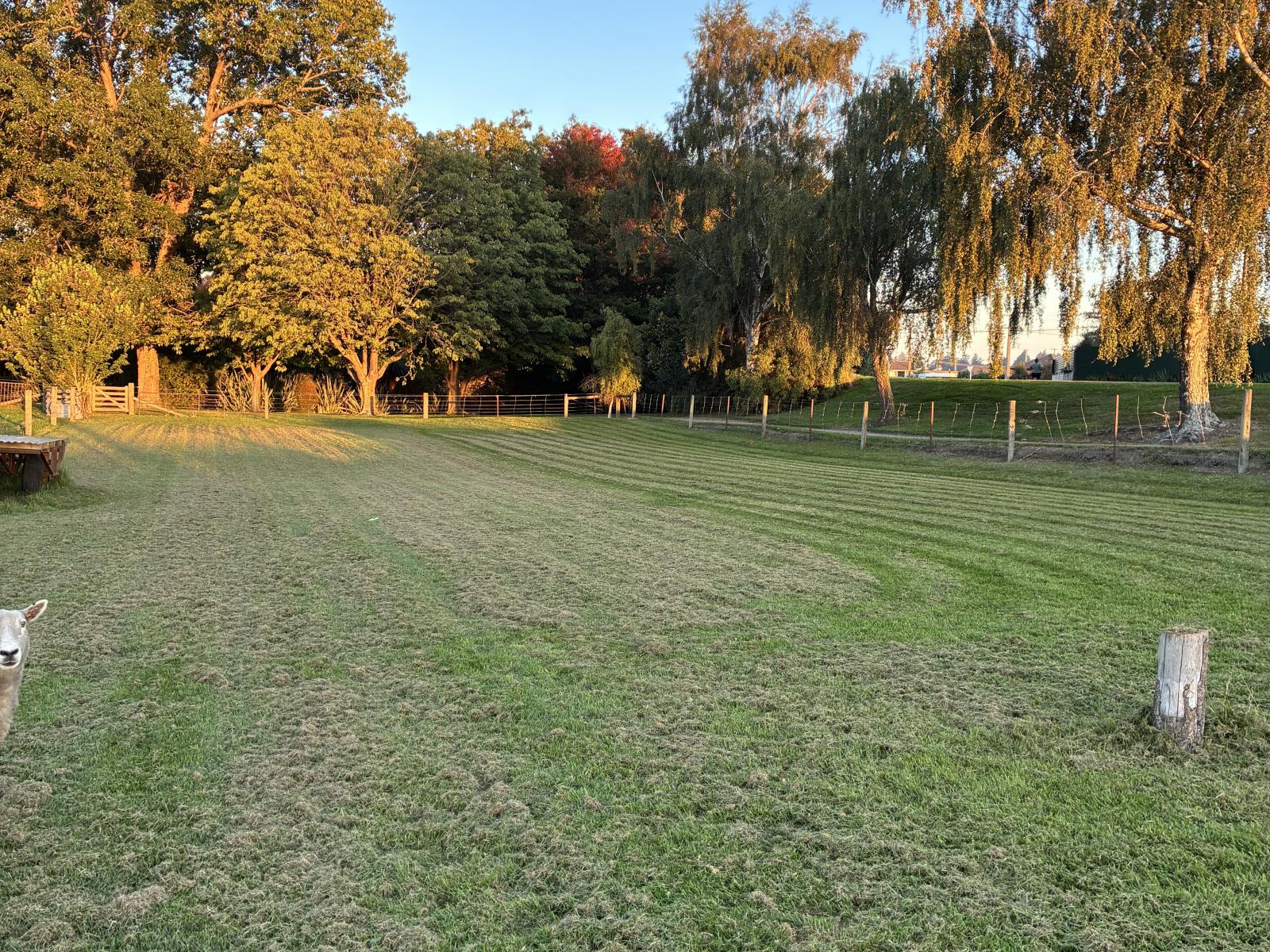 50 Hornbrook Street, Temuka