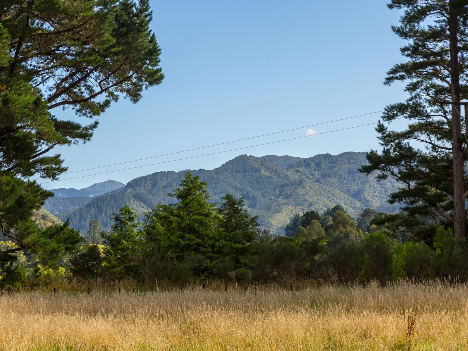  2 & 3, 261 Waiohine Valley Road, Greytown