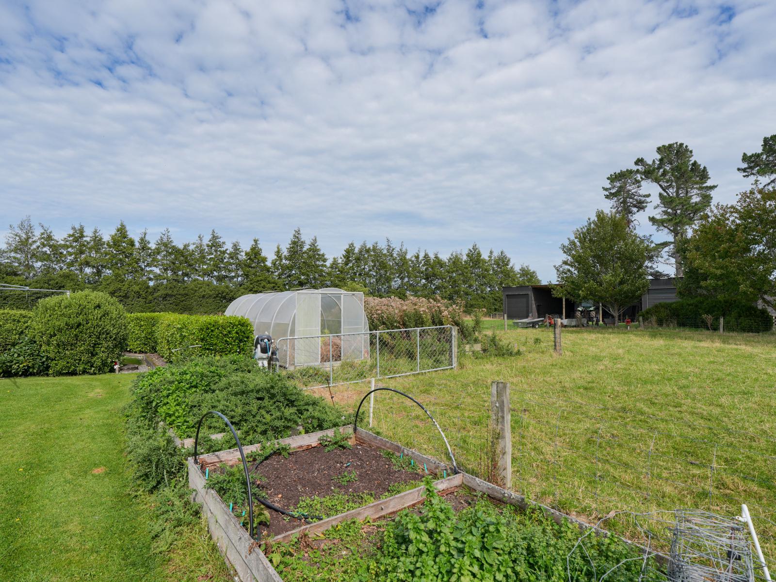 232 Crow Road, Thomsons Crossing