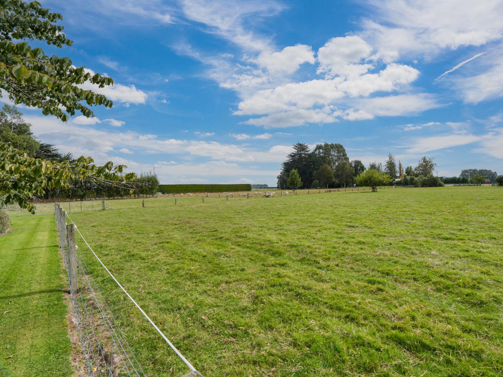 232 Crow Road, Thomsons Crossing