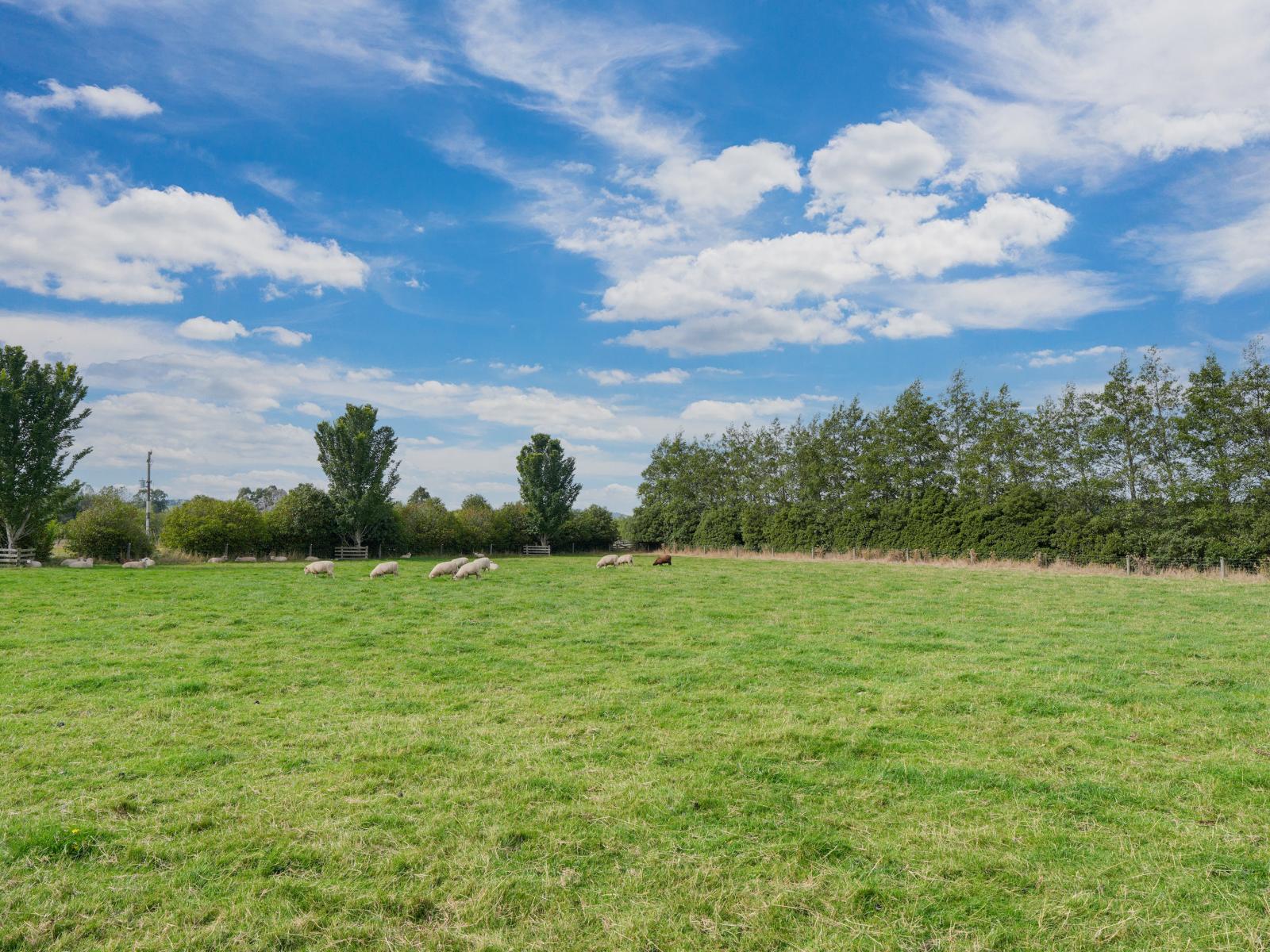 232 Crow Road, Thomsons Crossing