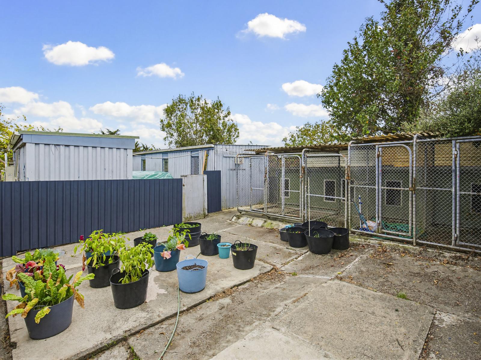 7 Graham Street, Shannon