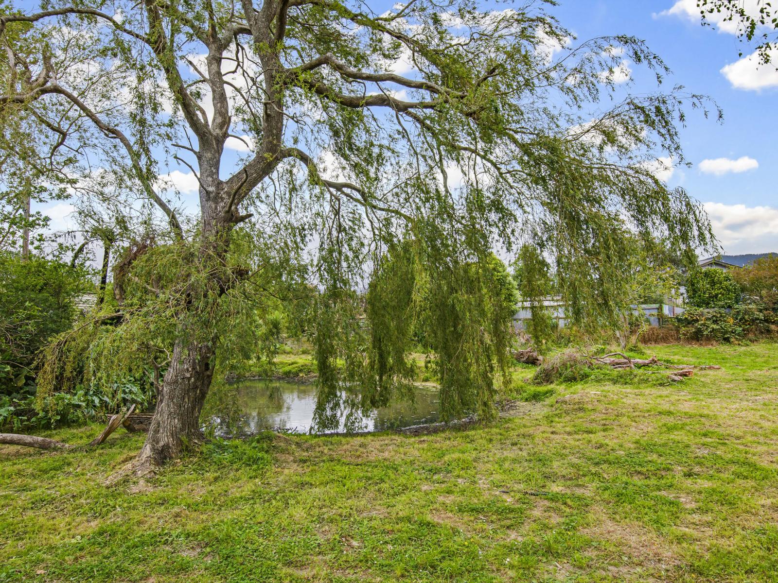 7 Graham Street, Shannon