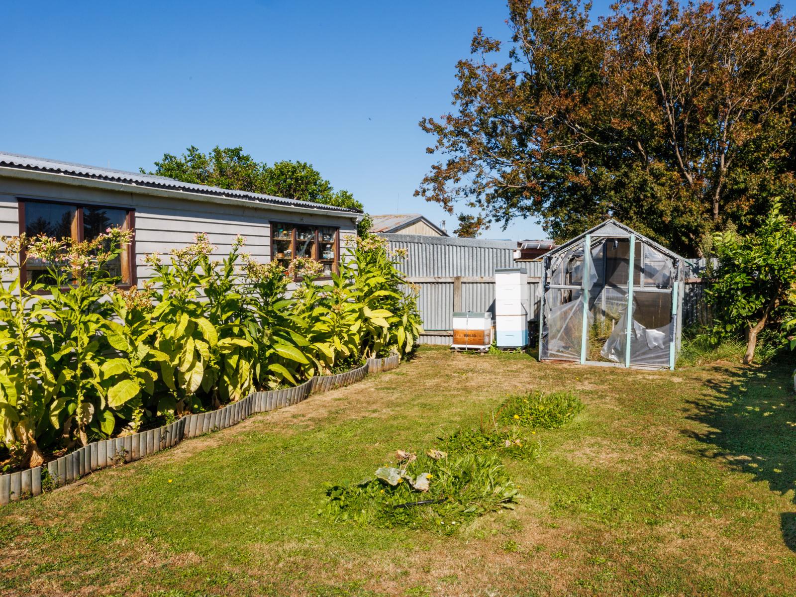 17 Sefton Avenue, Highbury