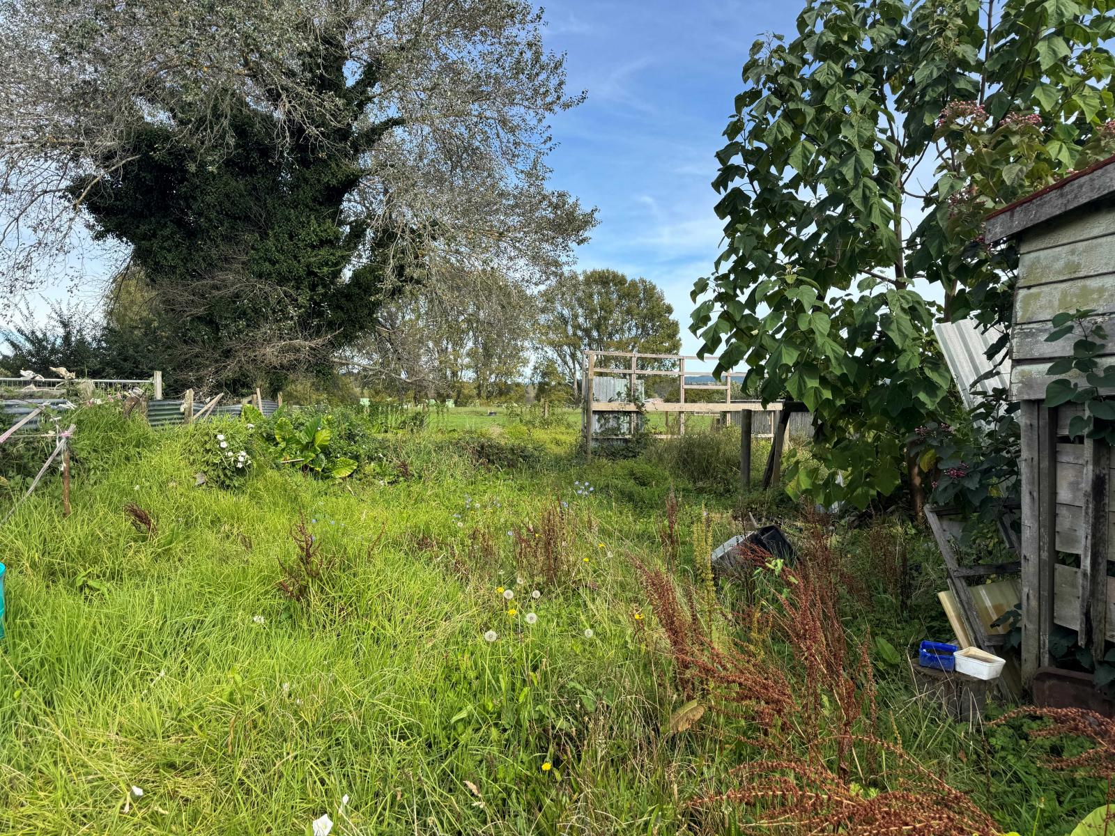 36 Tuhoe Street, Taneatua