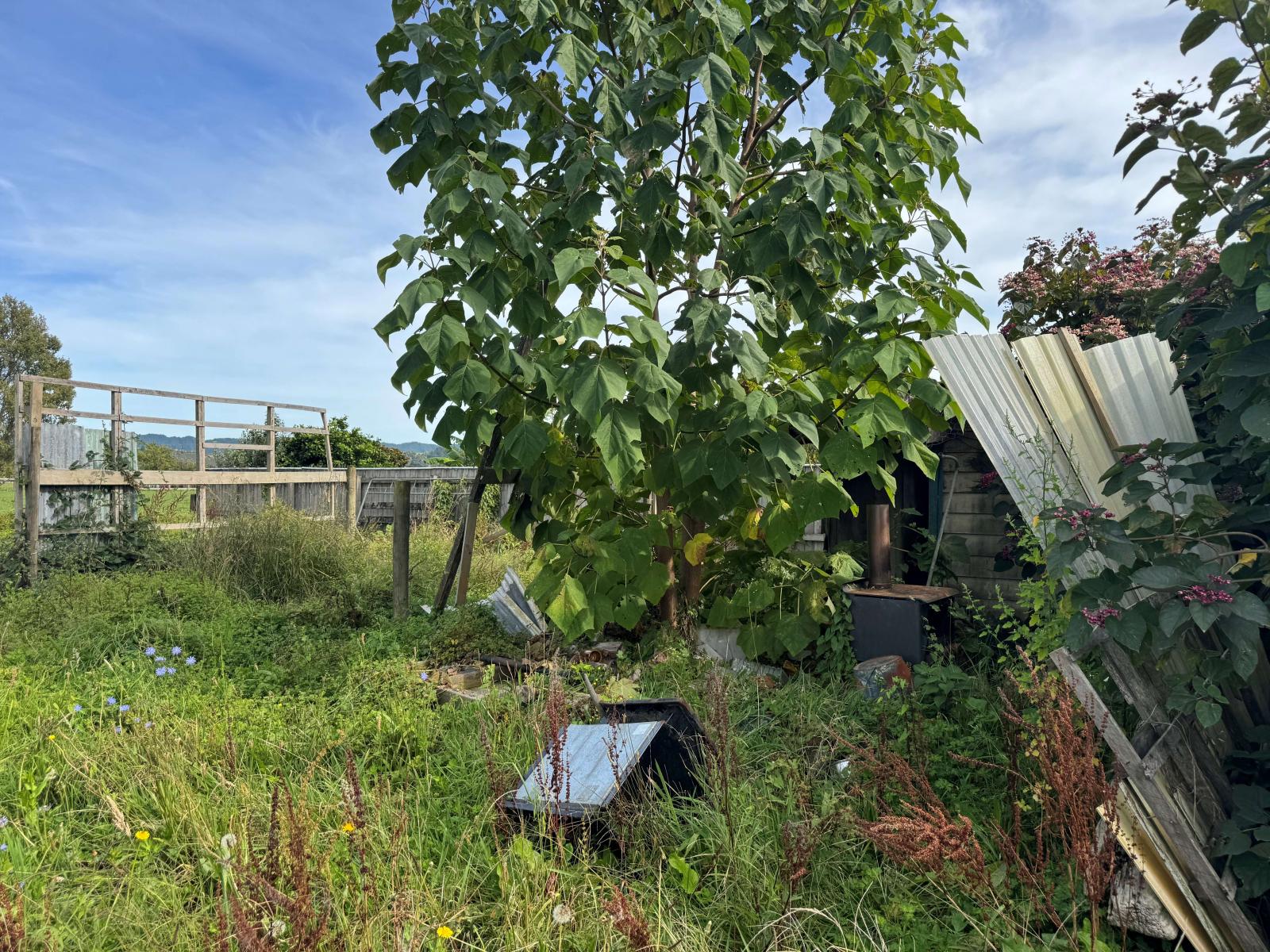 36 Tuhoe Street, Taneatua