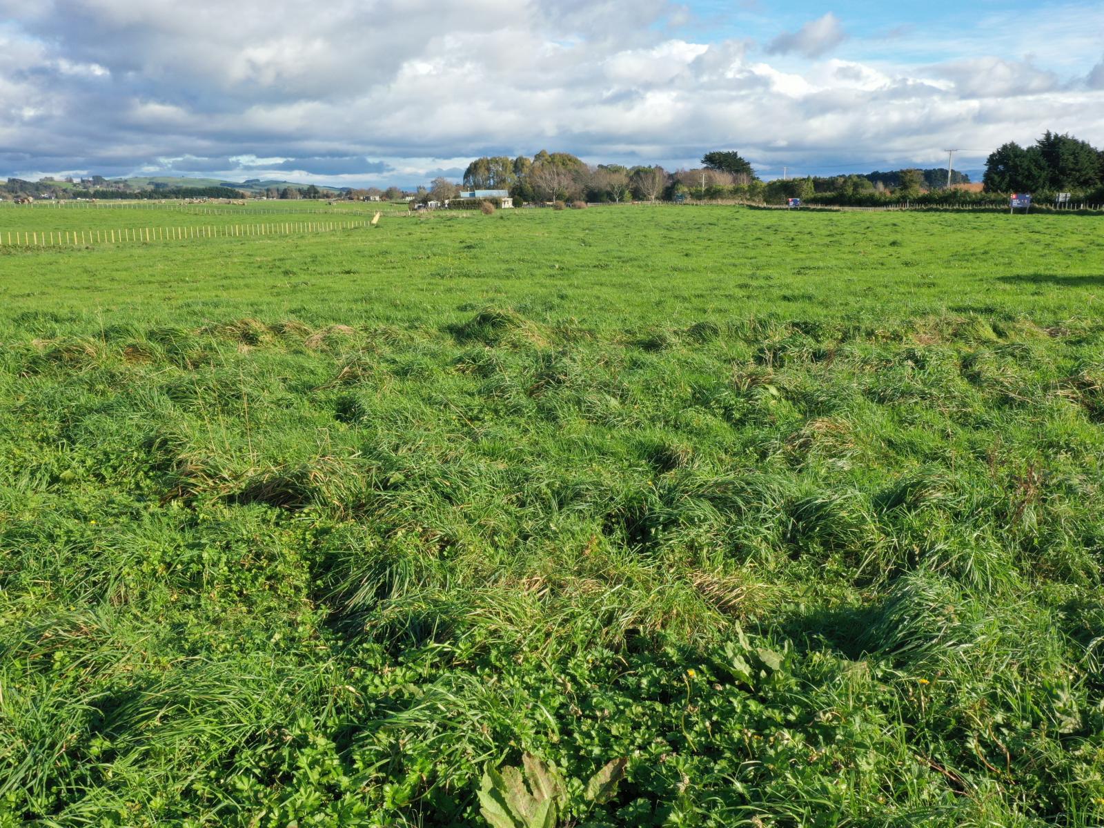 12A Pahiatua Pongaroa Road, Pahiatua