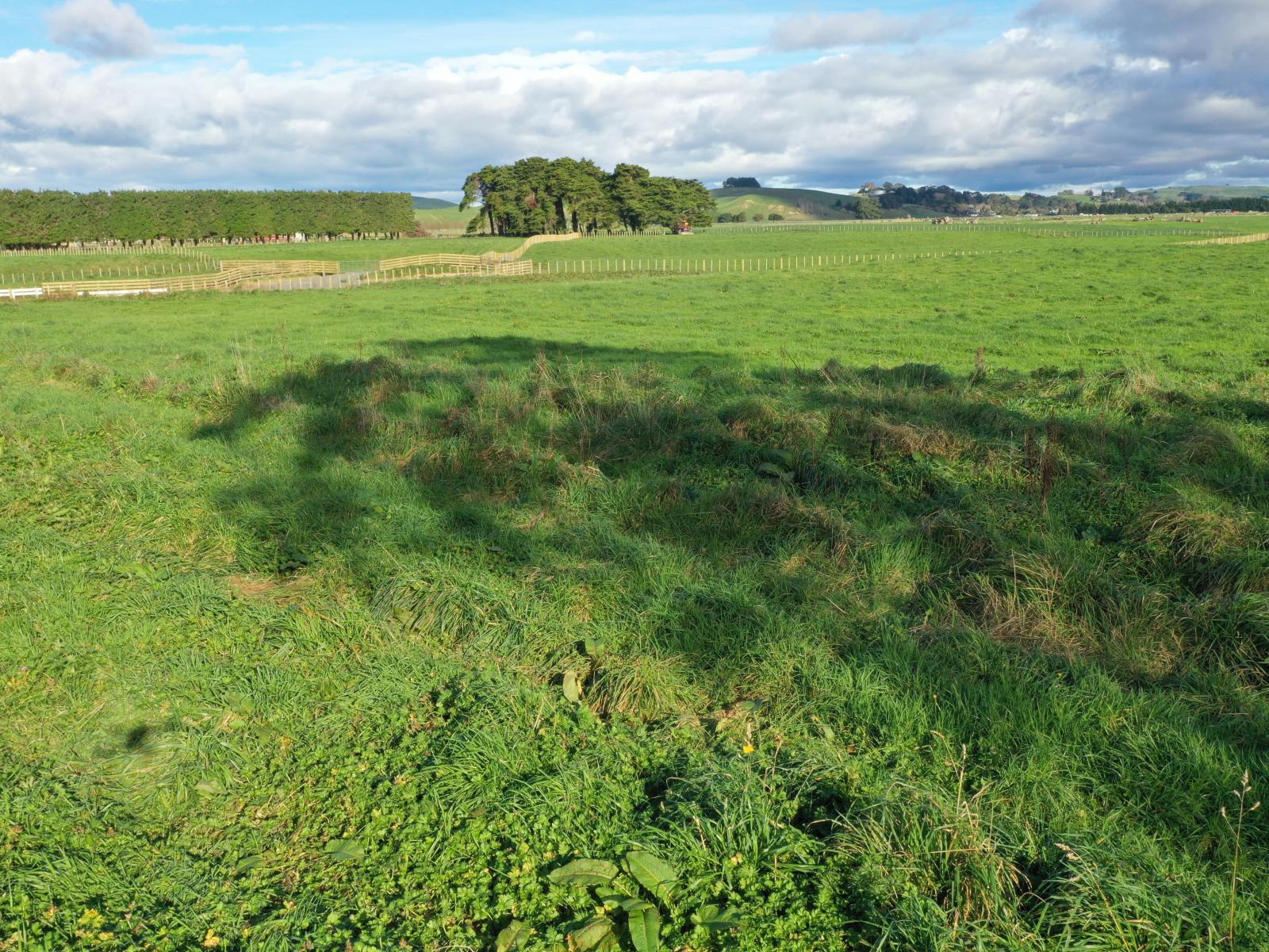 12A Pahiatua Pongaroa Road, Pahiatua