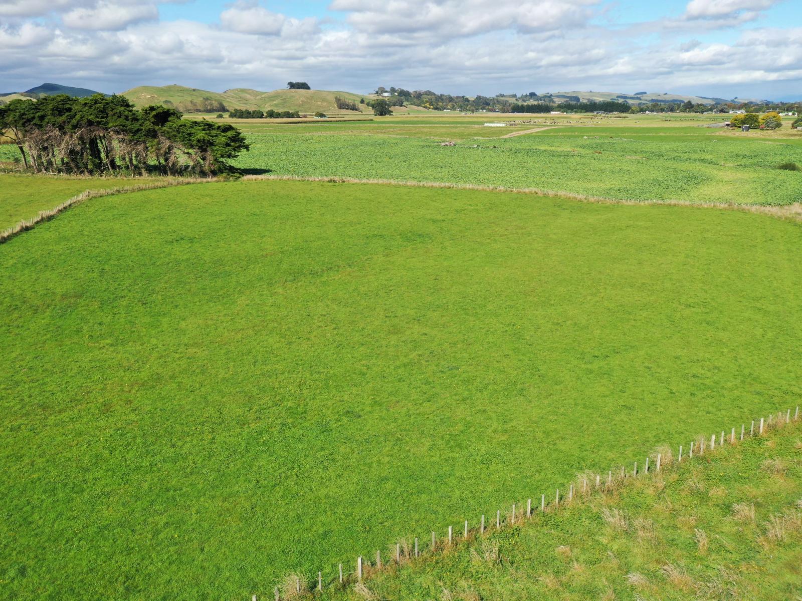 12B Pahiatua Pongaroa Road, Pahiatua