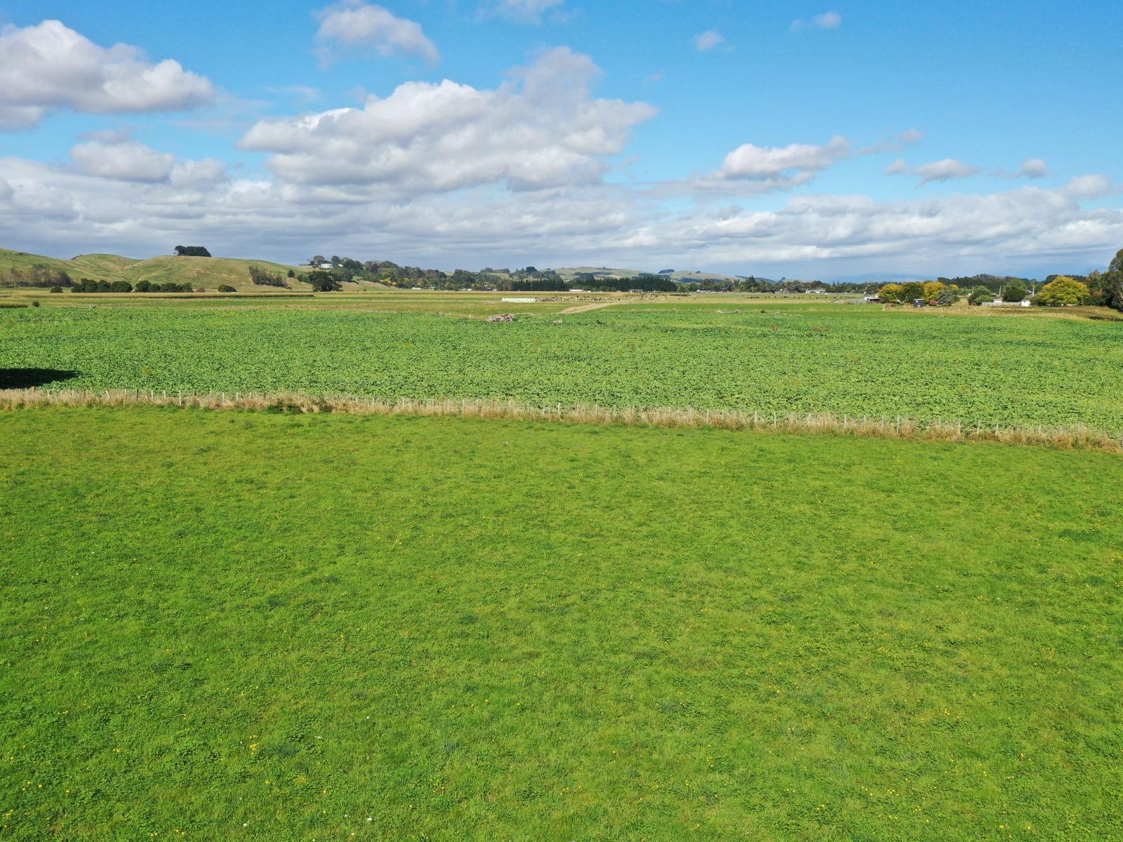 12B Pahiatua Pongaroa Road, Pahiatua