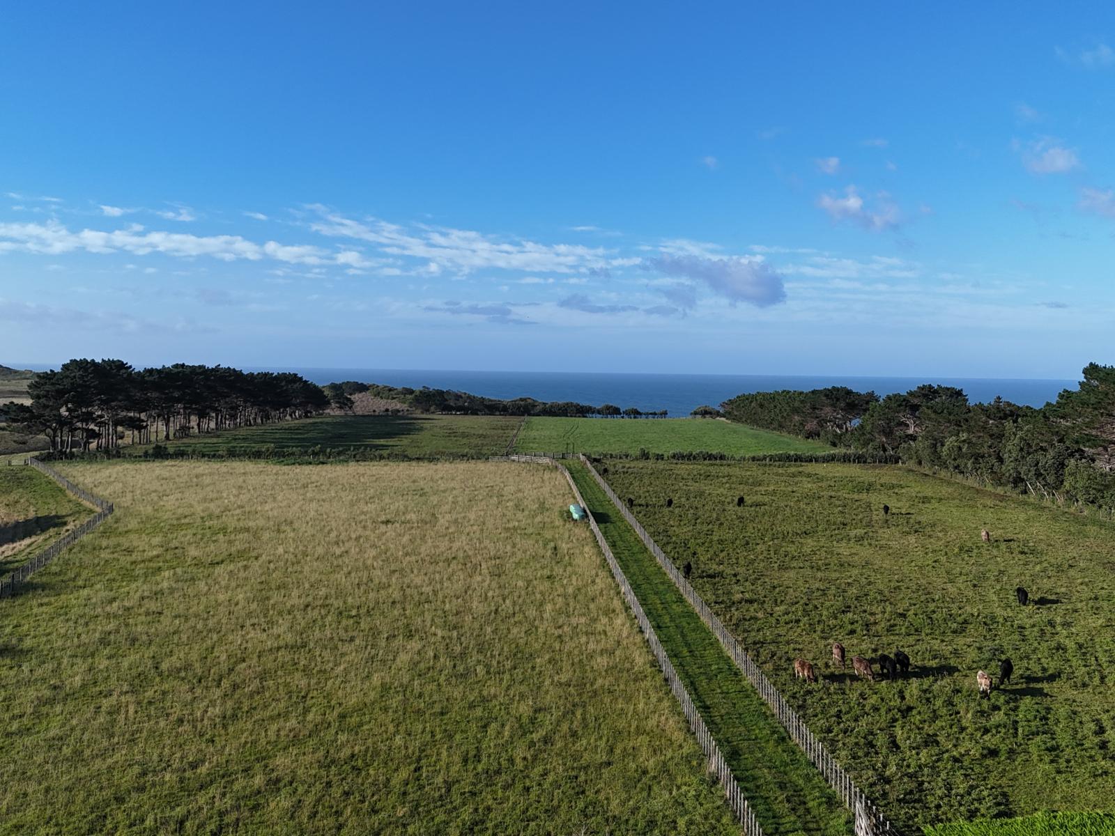 855 Rapanui Road, Kai Iwi