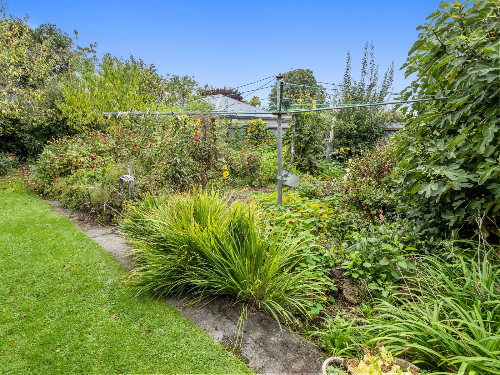 281 Tancred Street, Ashburton