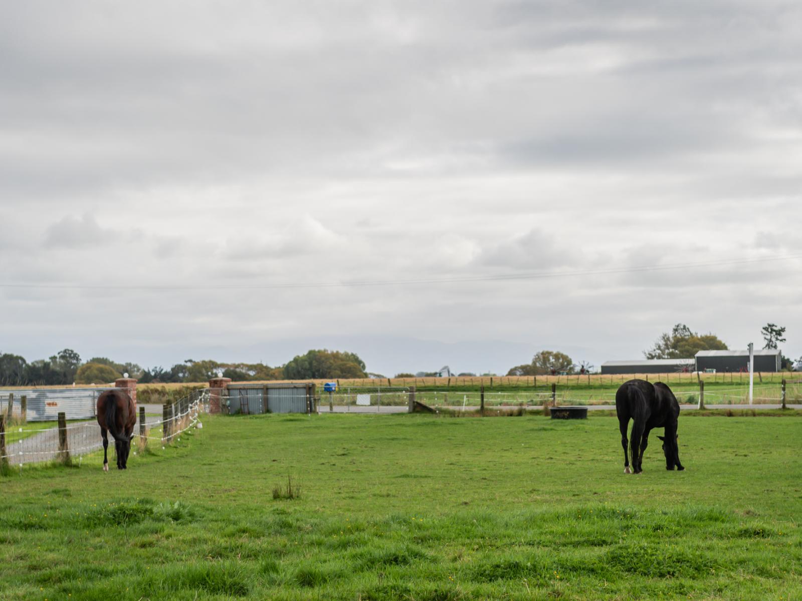 131 Station Road, Temuka