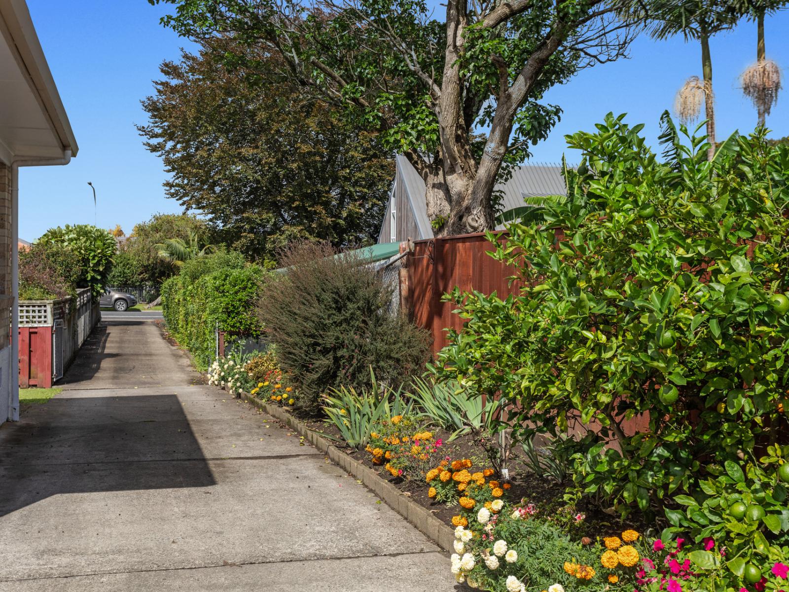 34A James Street, Whakatane