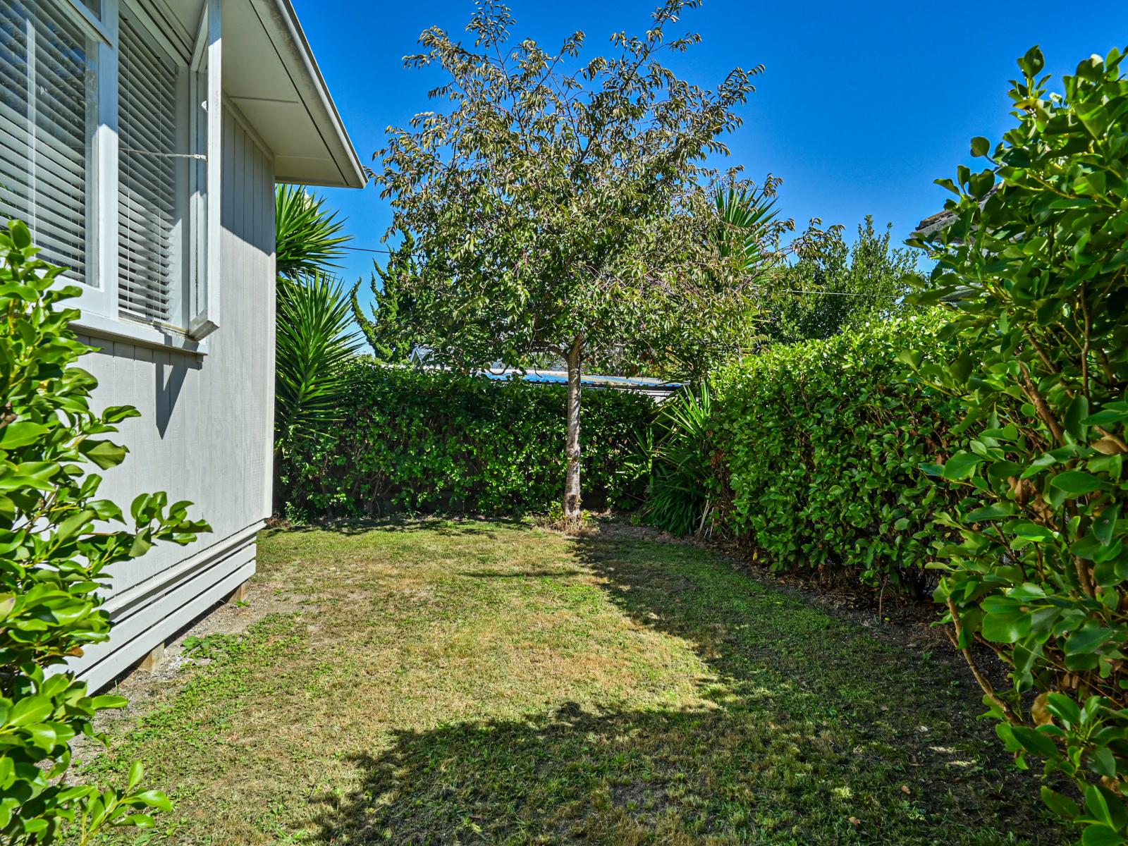 54B Joll Road, Havelock North