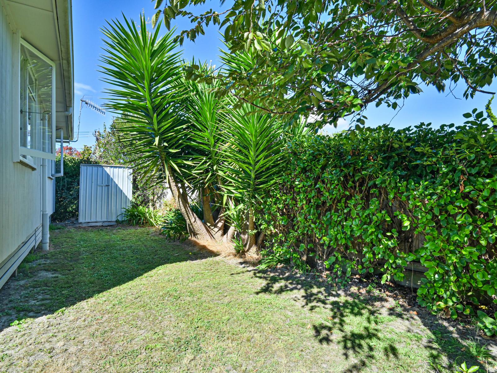 54B Joll Road, Havelock North