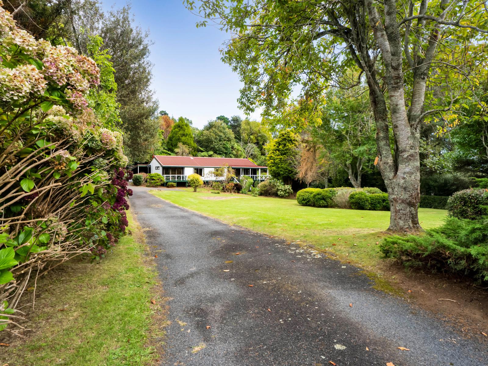 65 Veale Road, New Plymouth