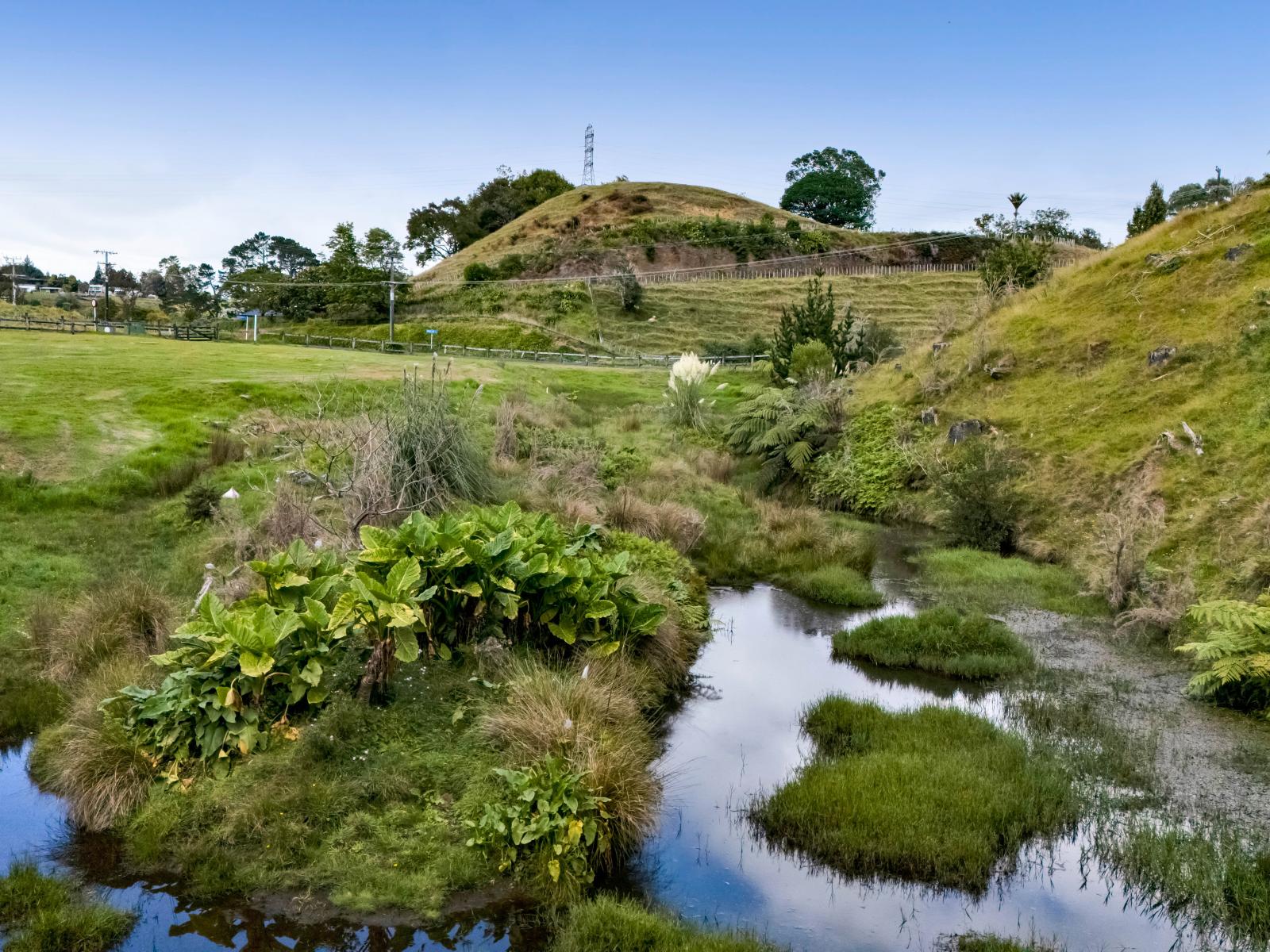65 Veale Road, New Plymouth