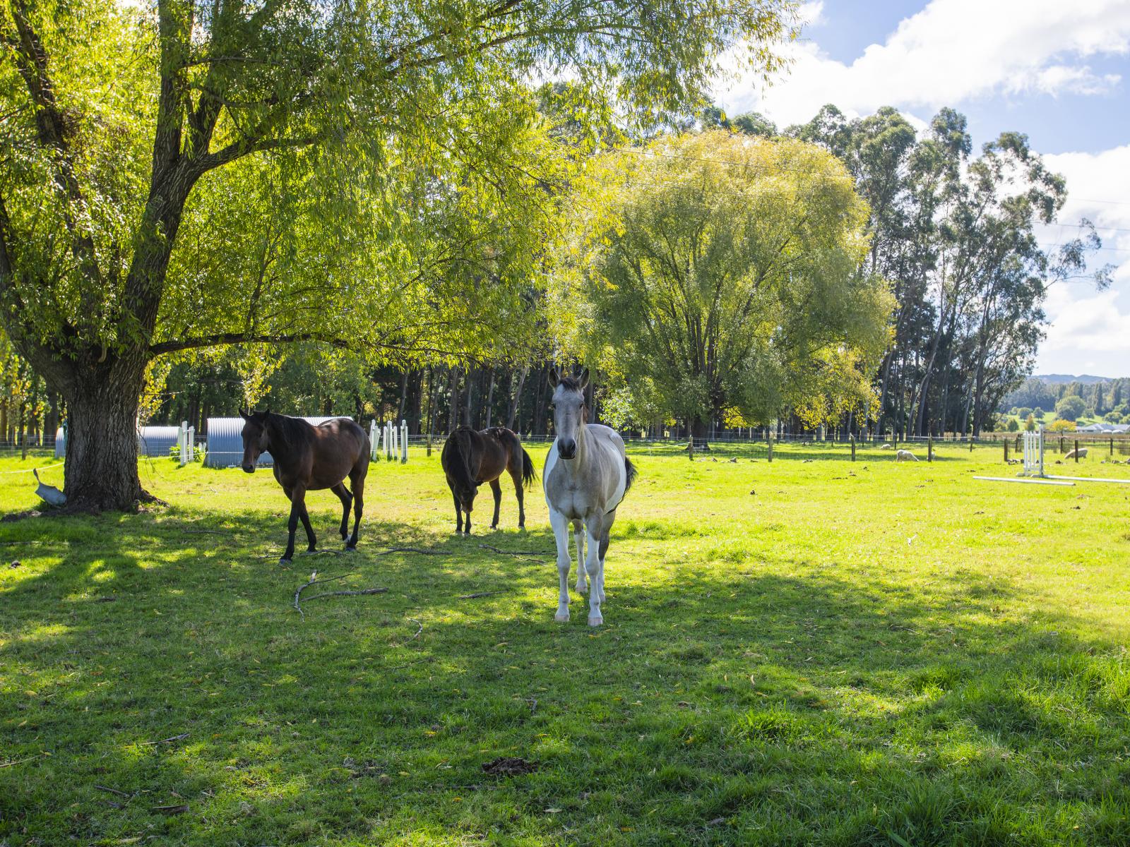140 Hansen Road, Makauri