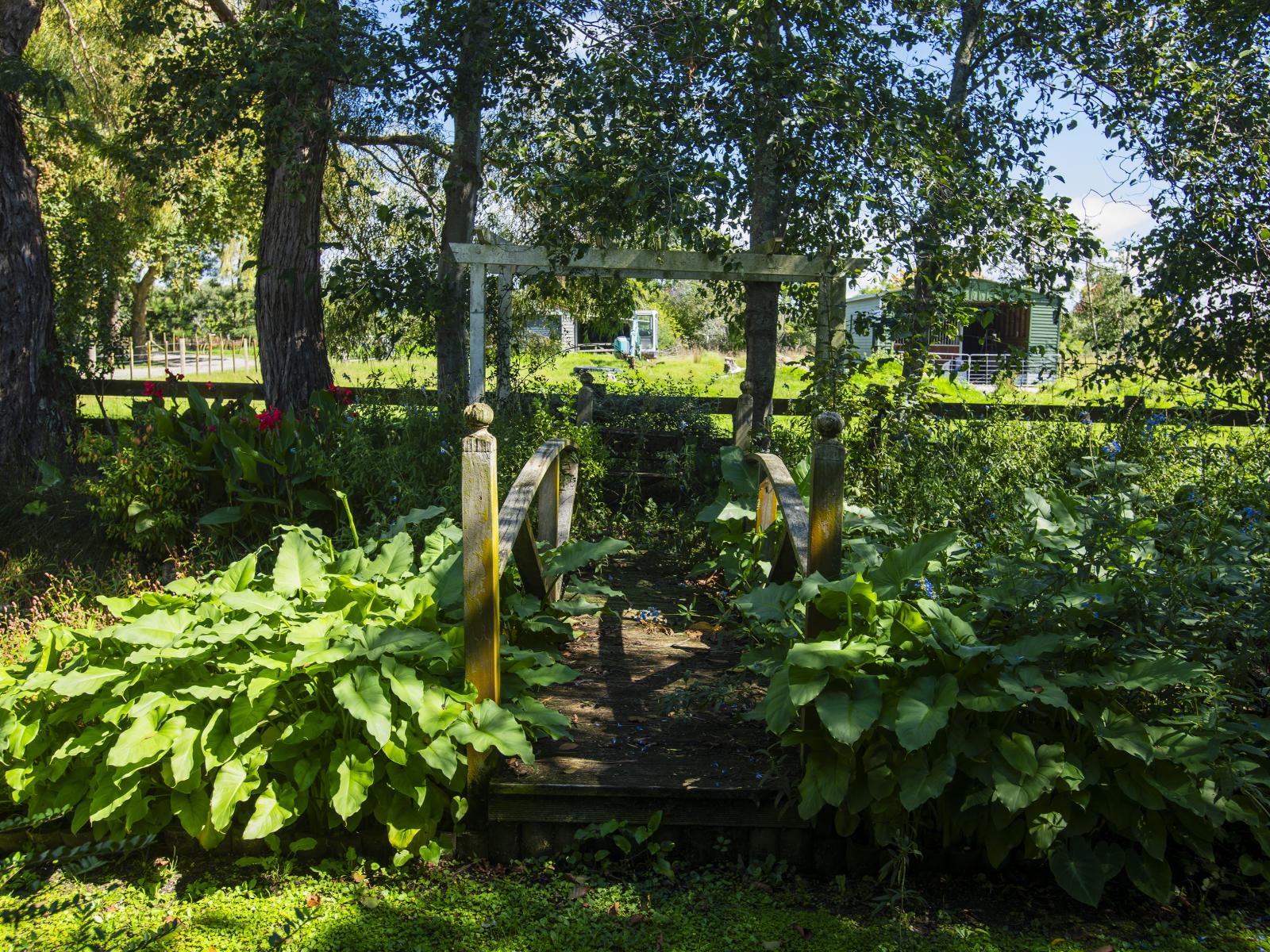 140 Hansen Road, Makauri