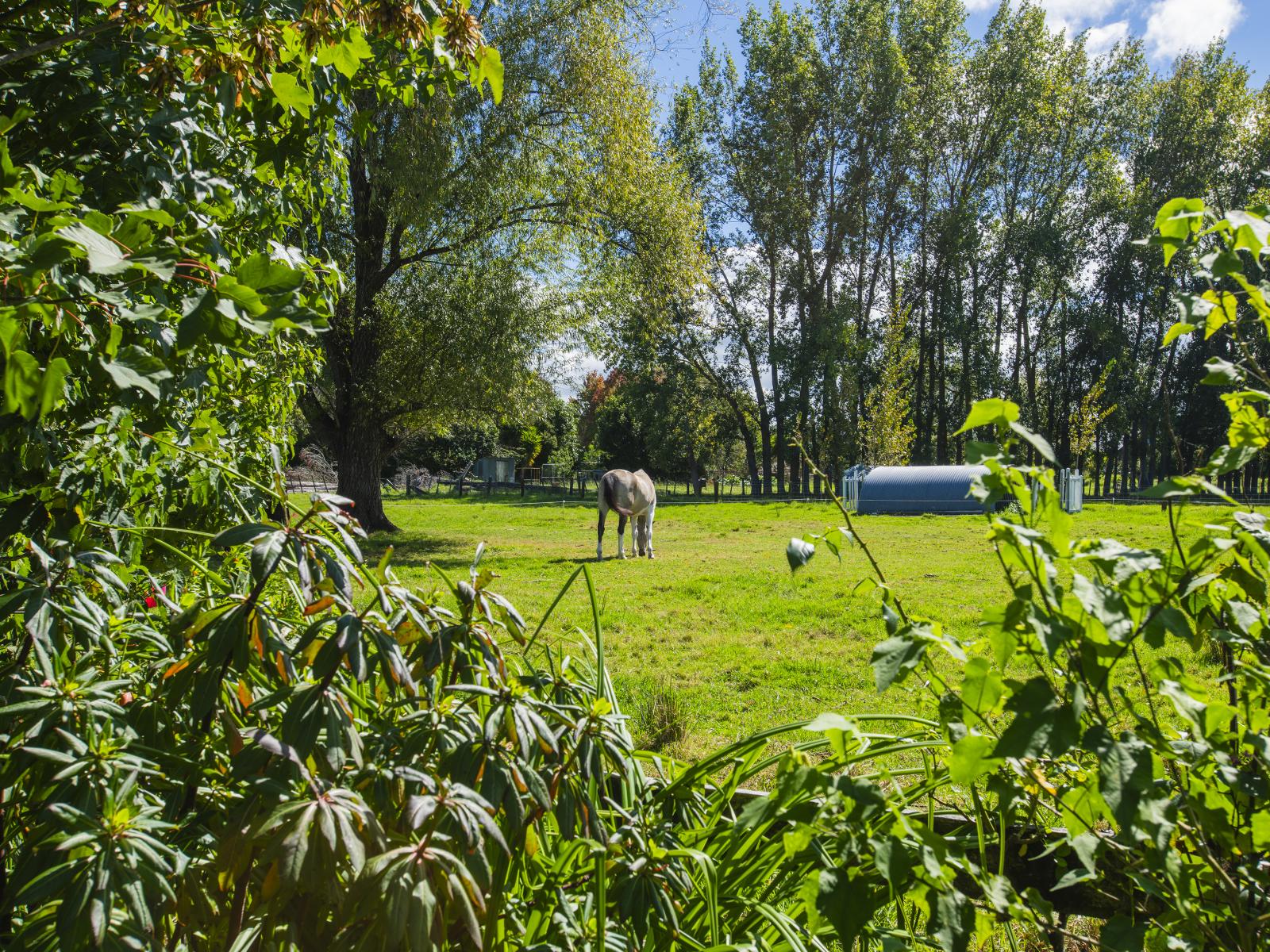 140 Hansen Road, Makauri