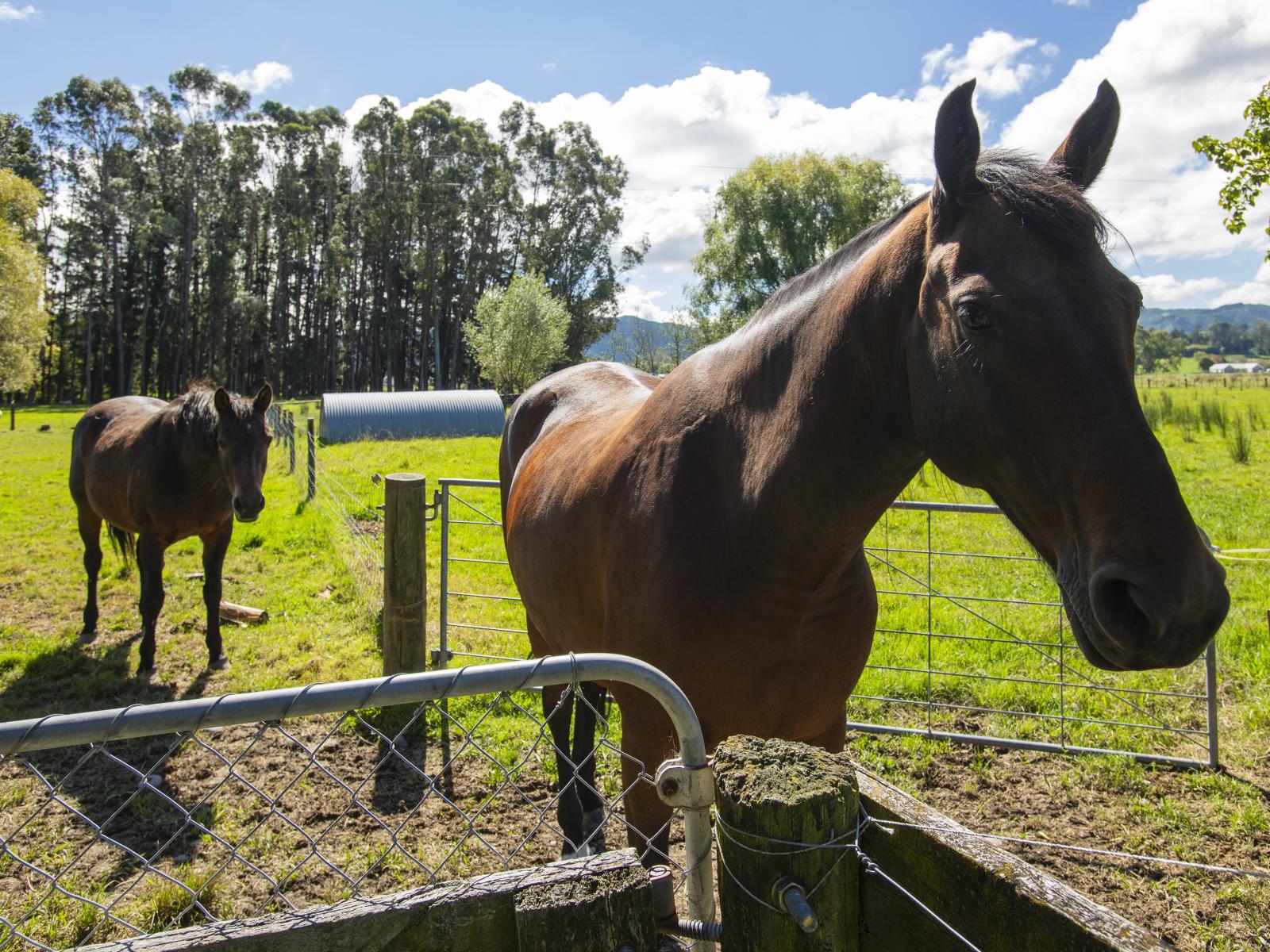 140 Hansen Road, Makauri