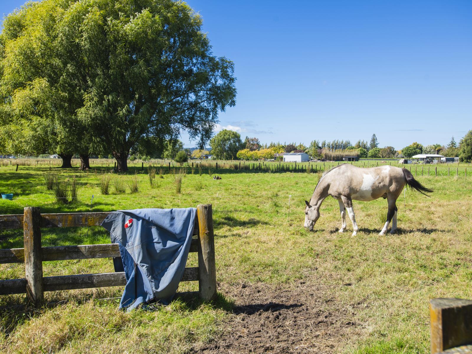 140 Hansen Road, Makauri