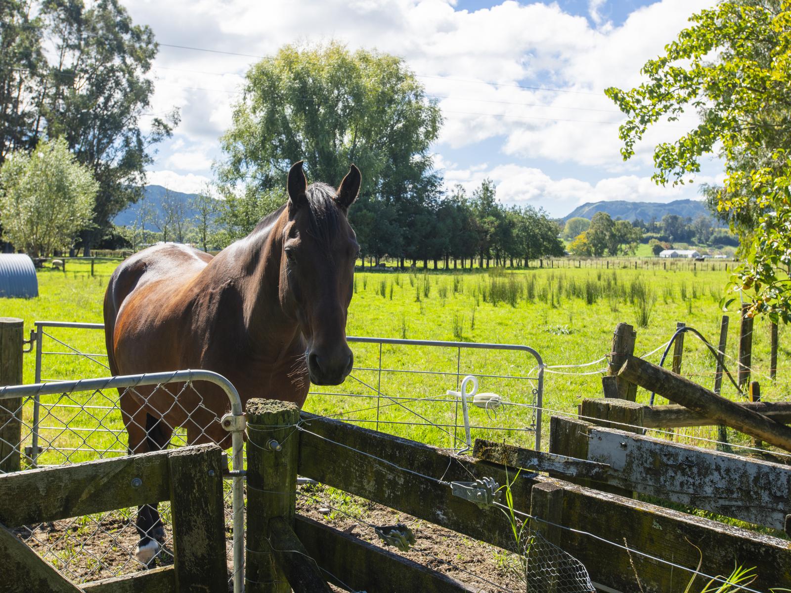 140 Hansen Road, Makauri