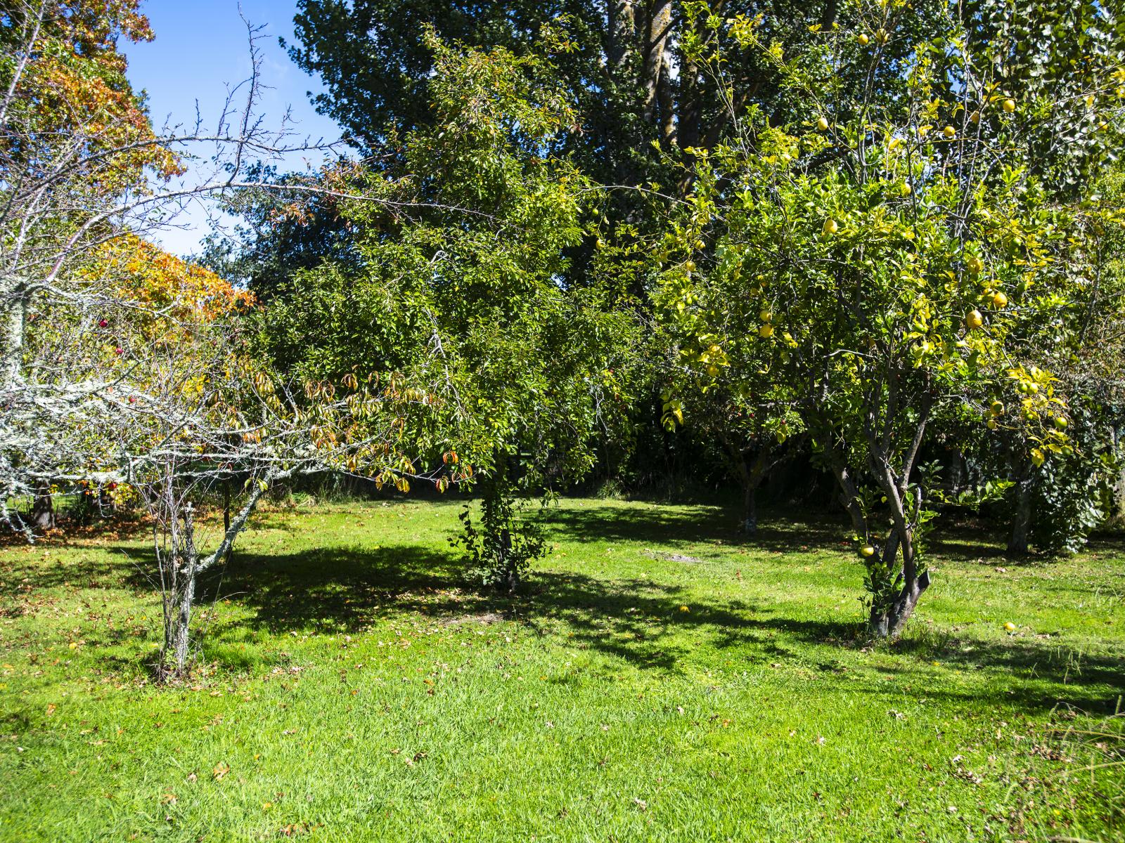 140 Hansen Road, Makauri