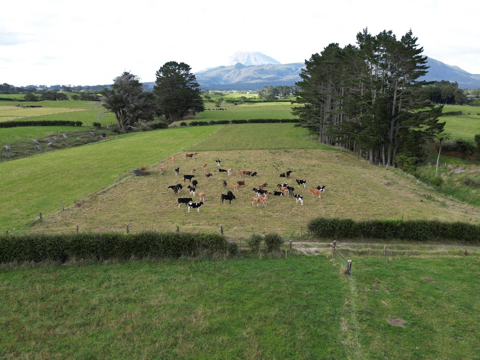 607 Hurford Road, Hurford