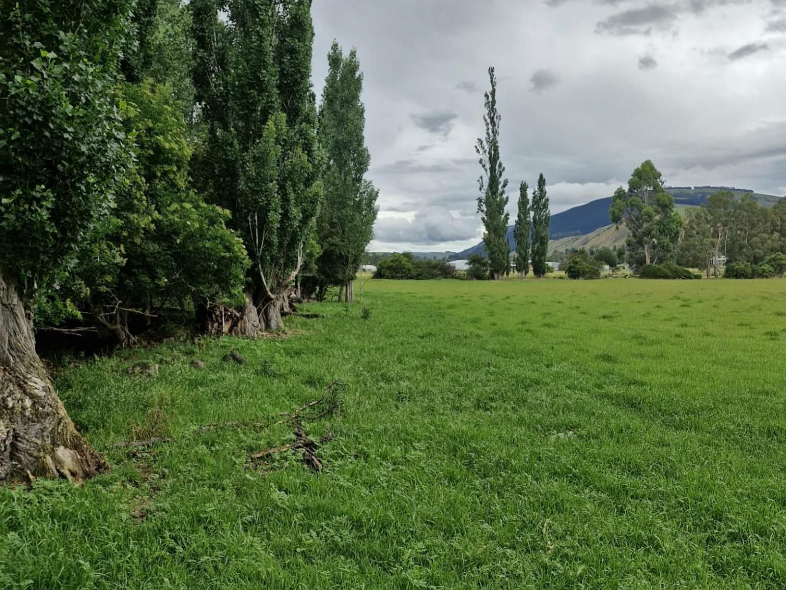 287 Oven Hill Road (Part of), Millers Flat