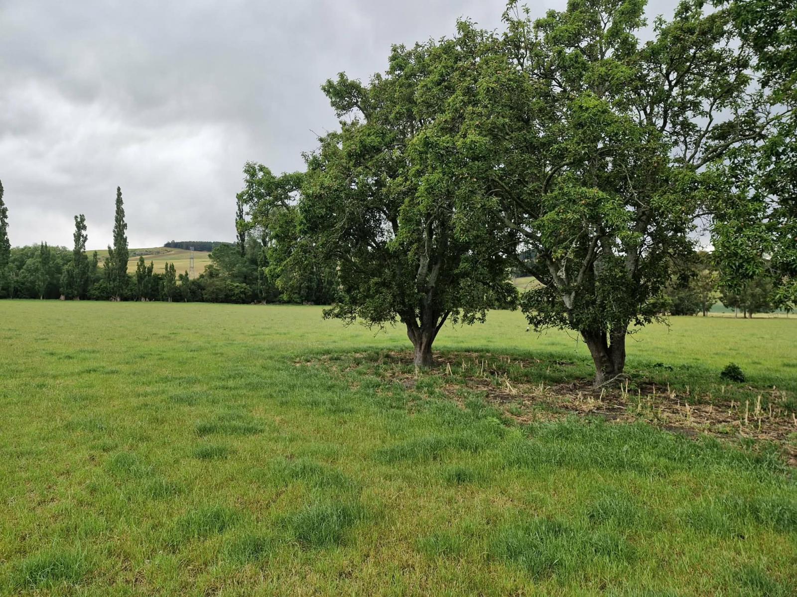 287 Oven Hill Road (Part of), Millers Flat