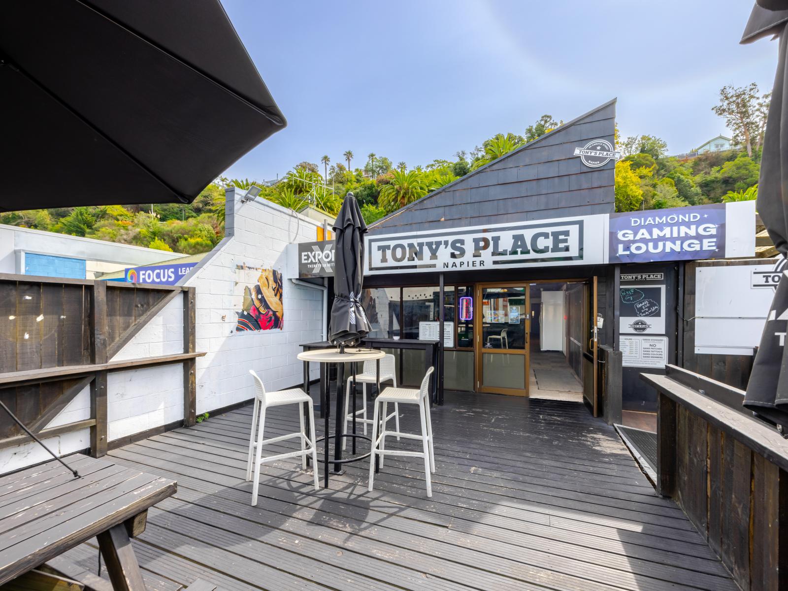 29 Carlyle Street, Napier South