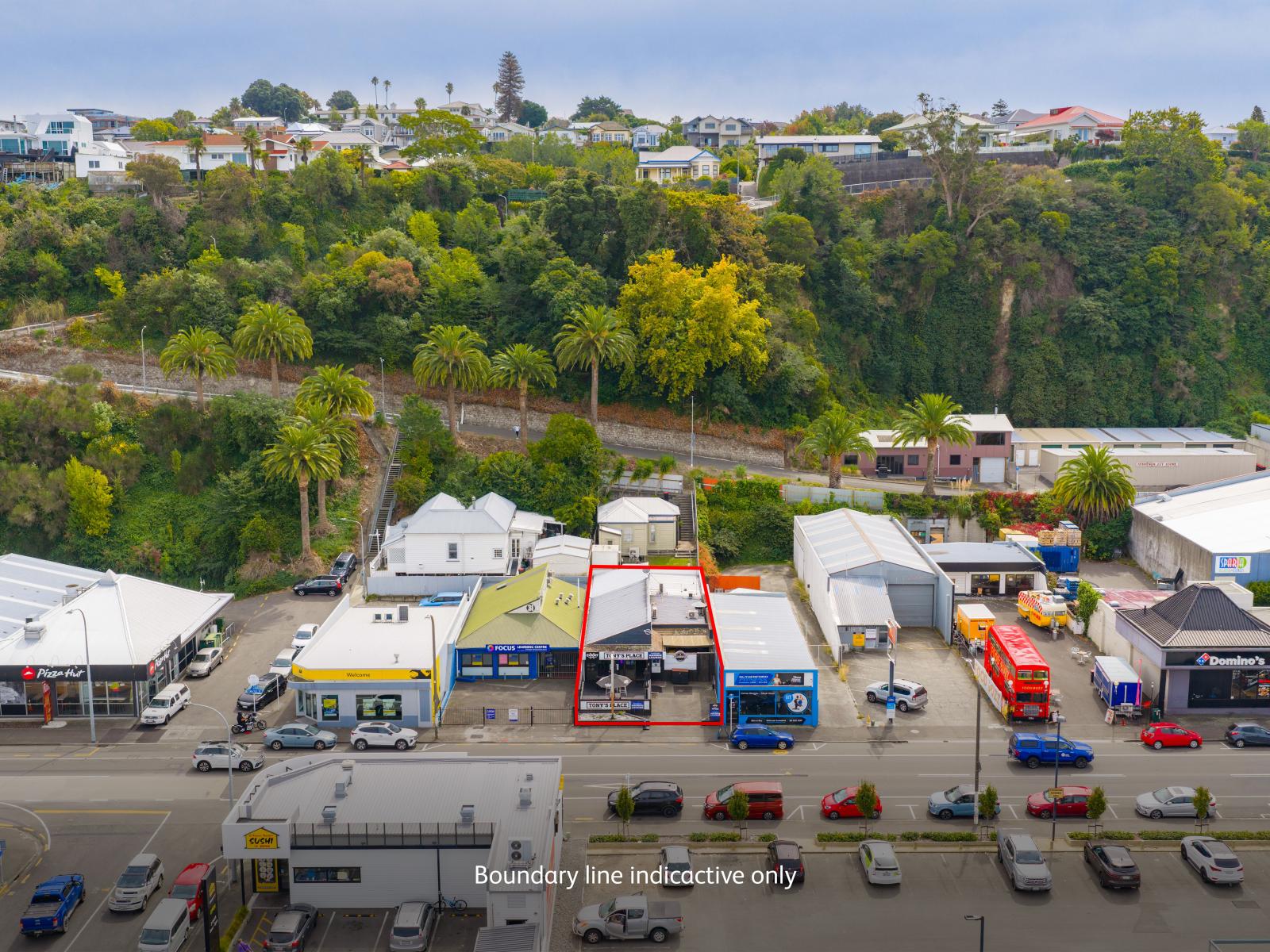 29 Carlyle Street, Napier South