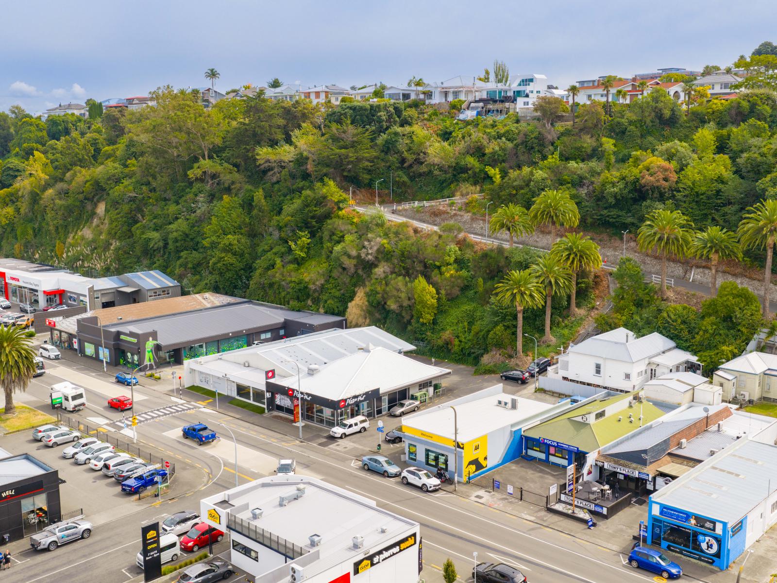 29 Carlyle Street, Napier South