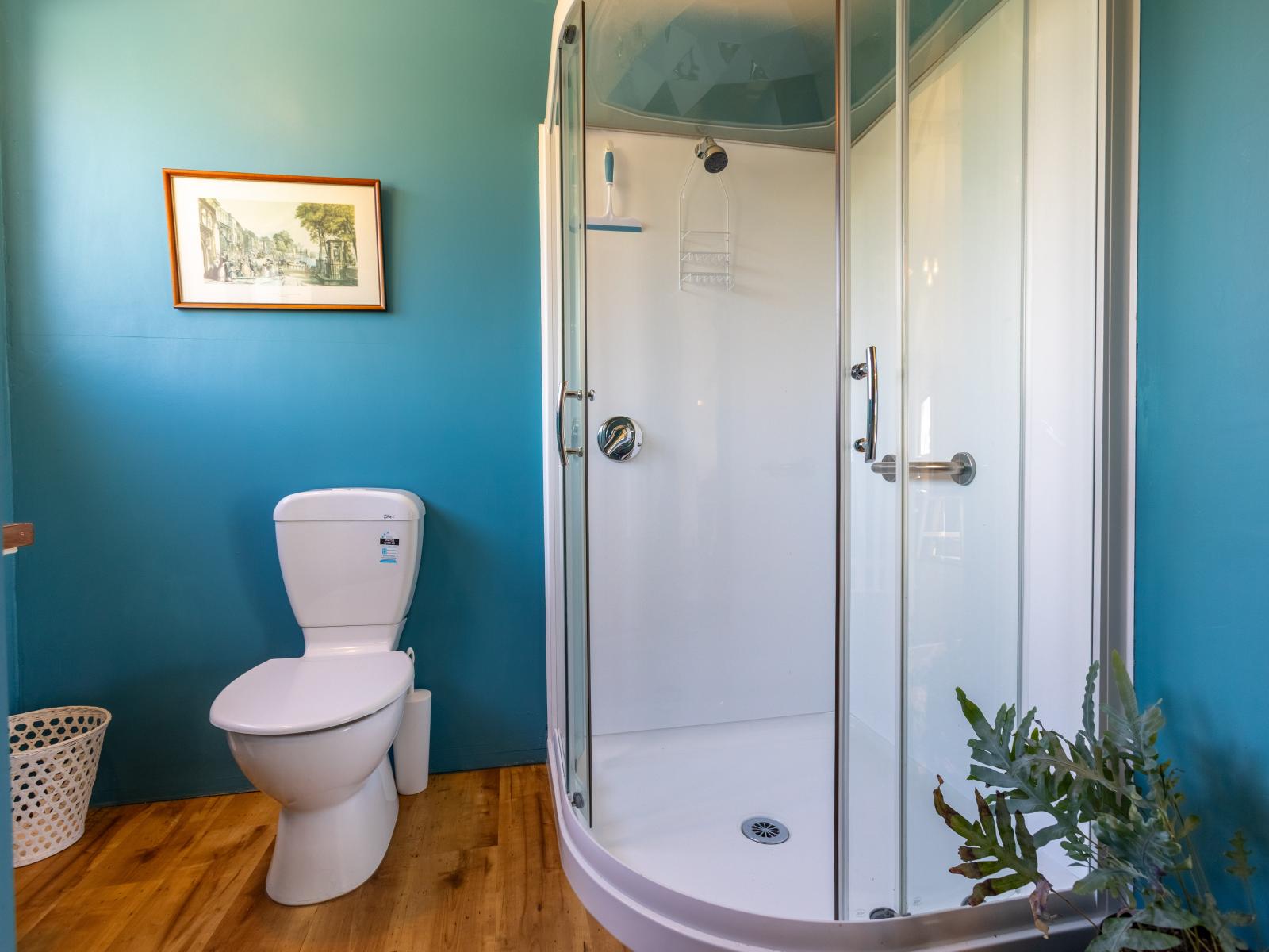 113 Grey Street, Woodville